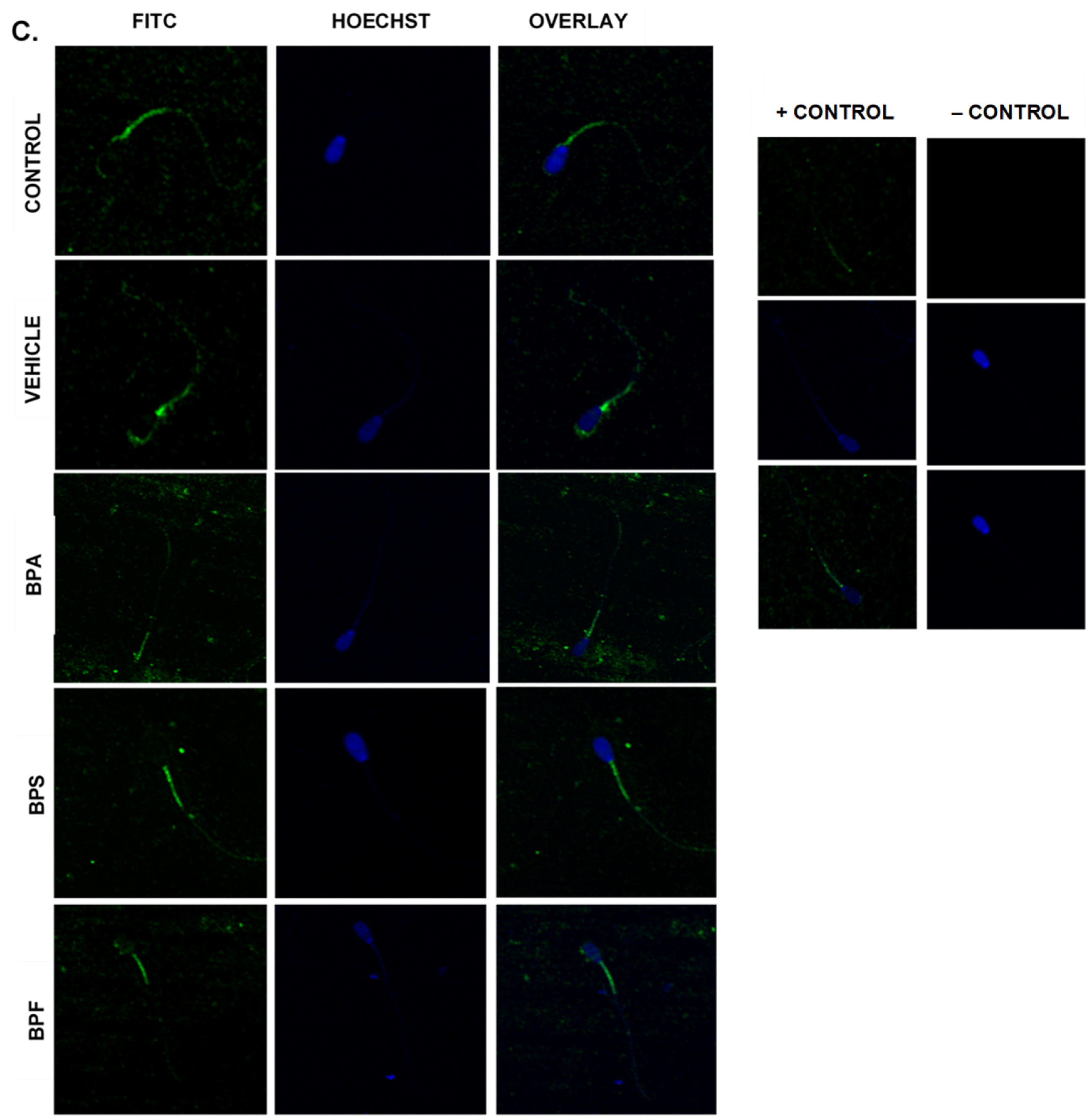 Genes 13 00142 g010c