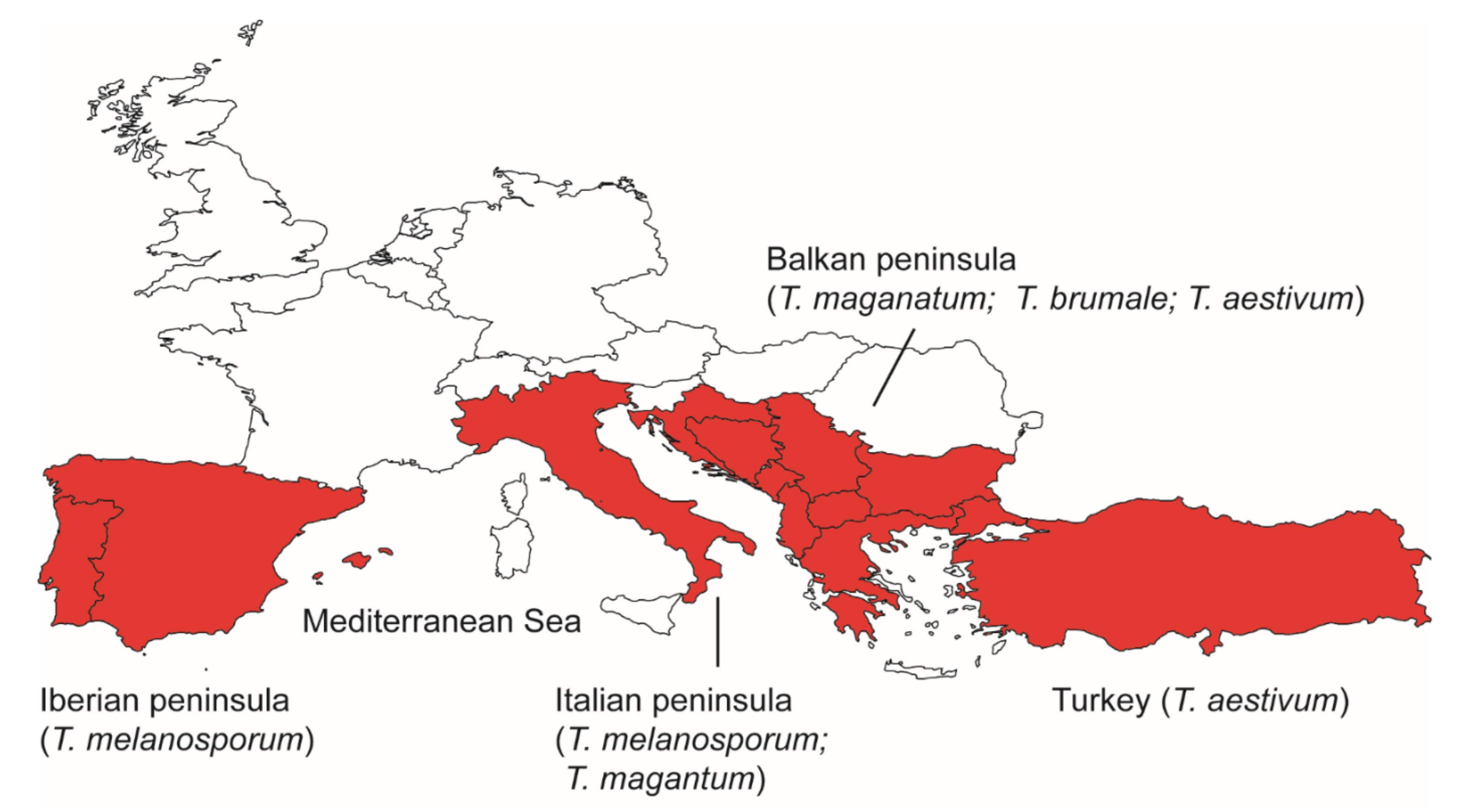 Genes Free FullText Life Cycle and Phylogeography of True Truffles