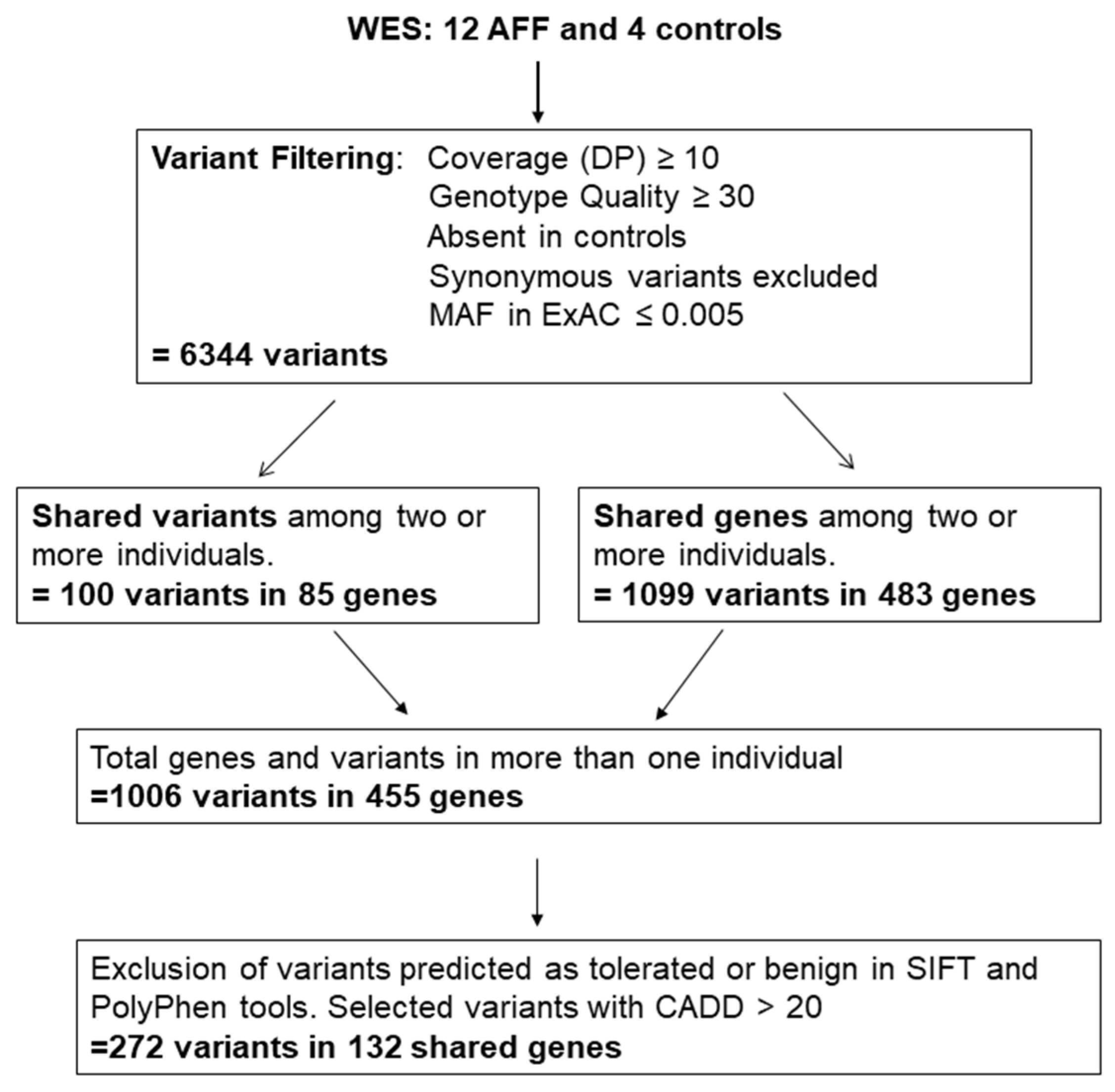 Genes 13 00146 g001