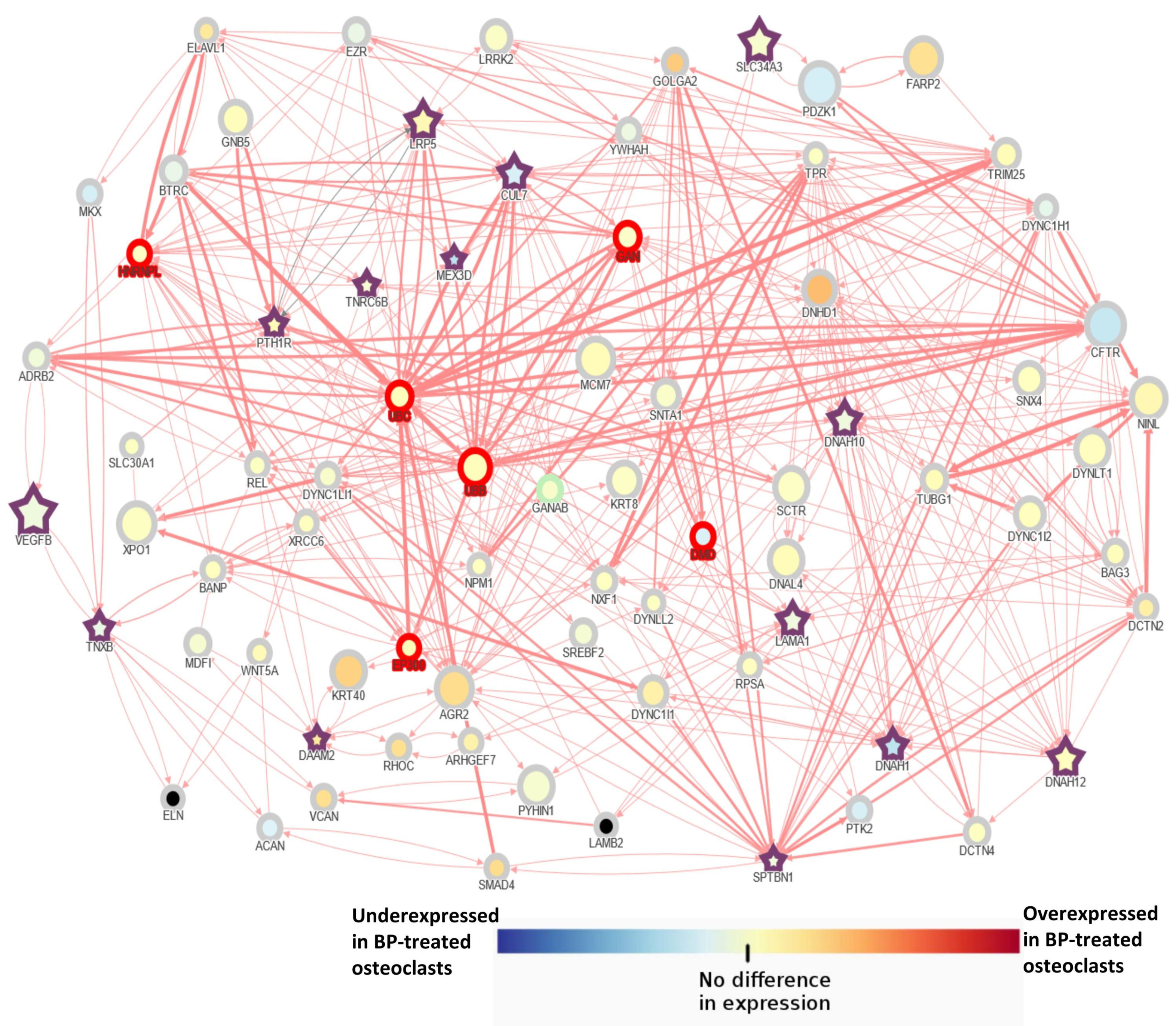 Genes 13 00146 g003