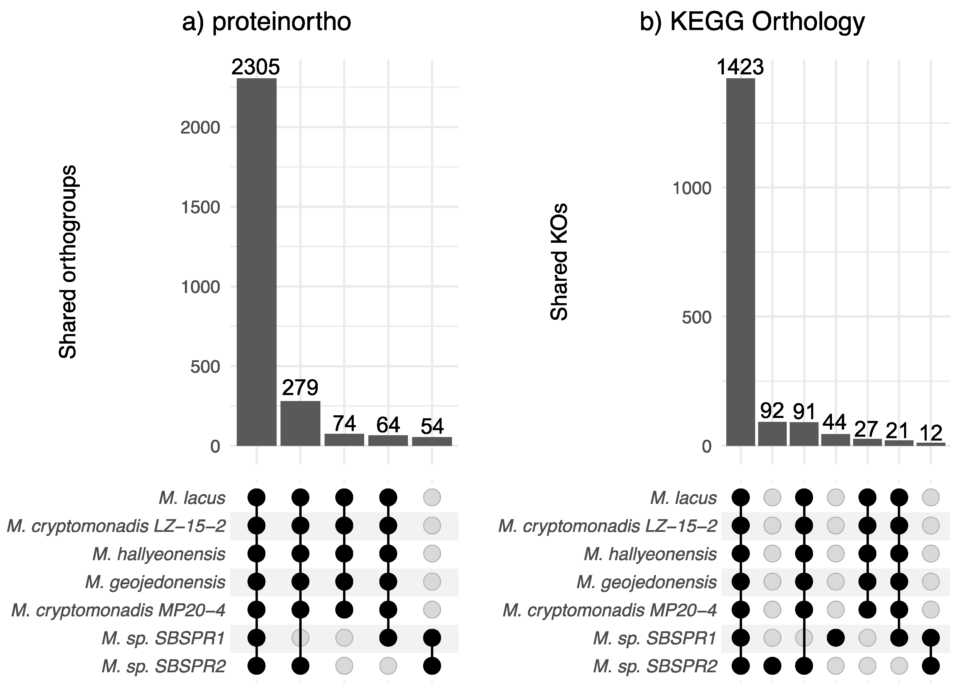 Genes 13 00148 g002 Genes 13 00148 g002