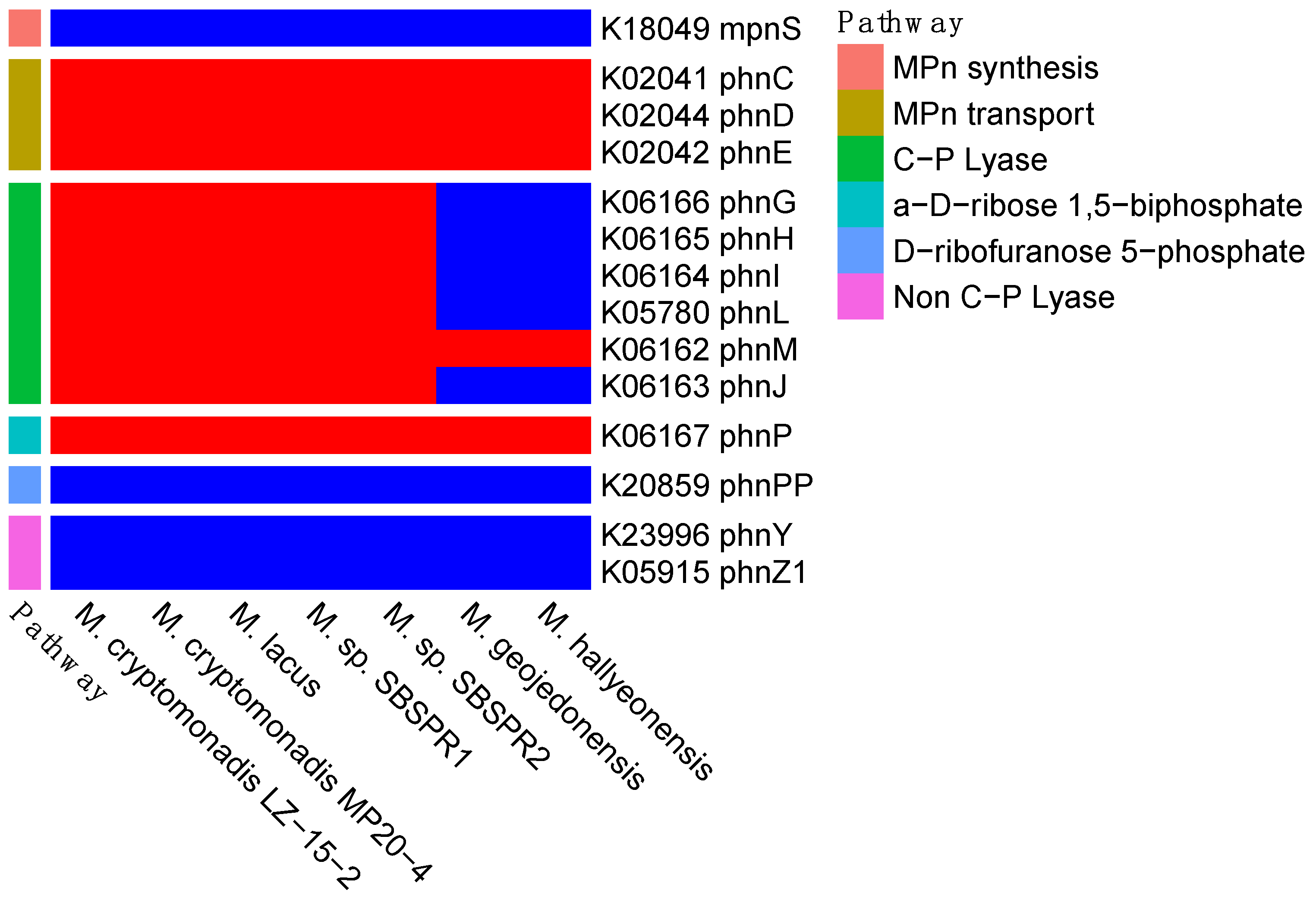 Genes 13 00148 g003 Genes 13 00148 g003