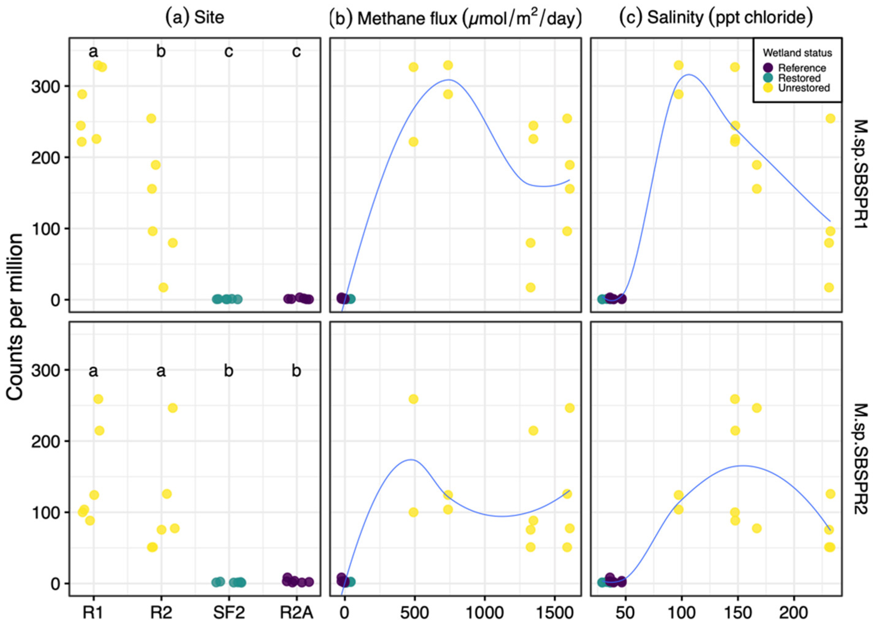 Genes 13 00148 g005 Genes 13 00148 g005