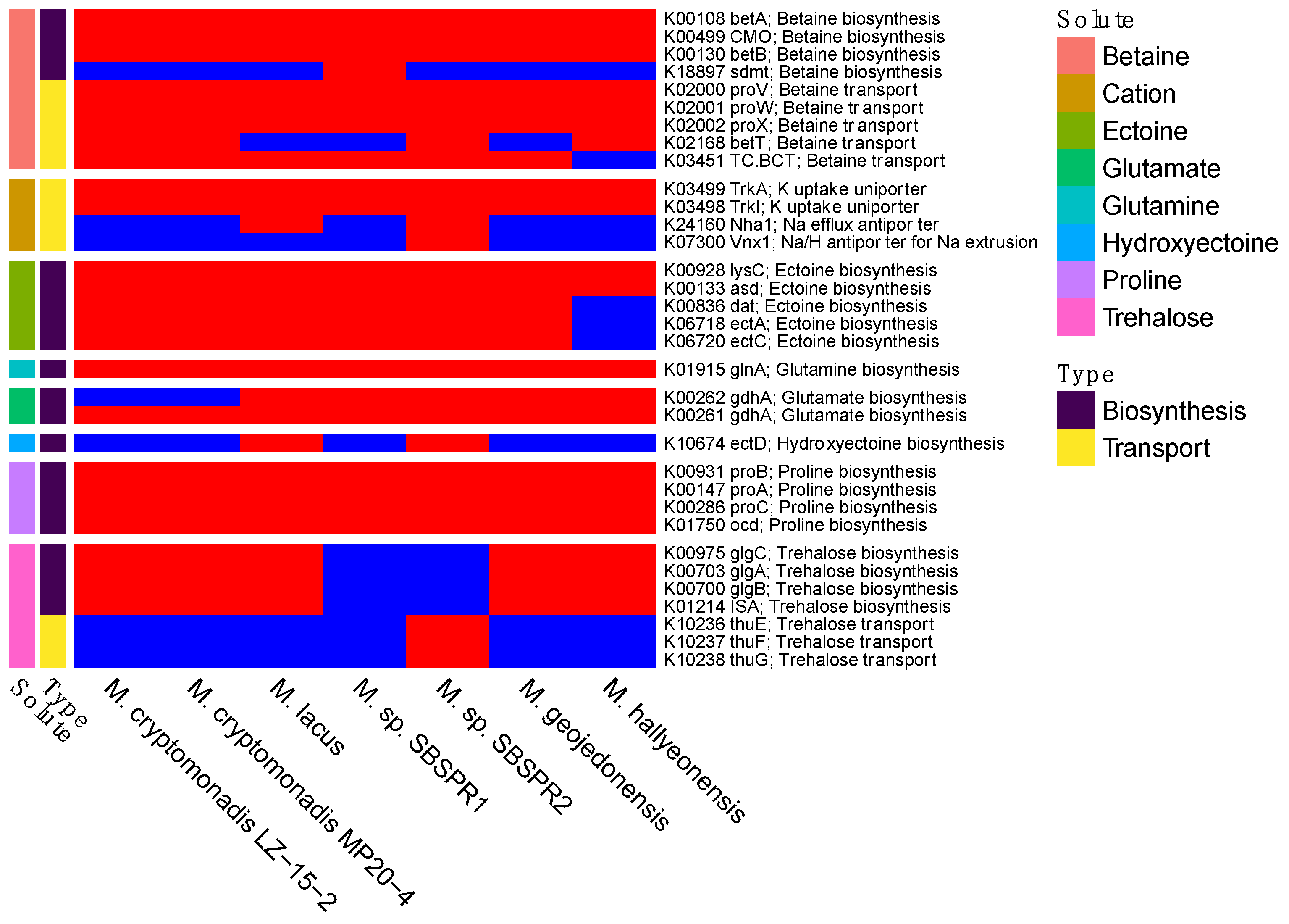 Genes 13 00148 g006 Genes 13 00148 g006