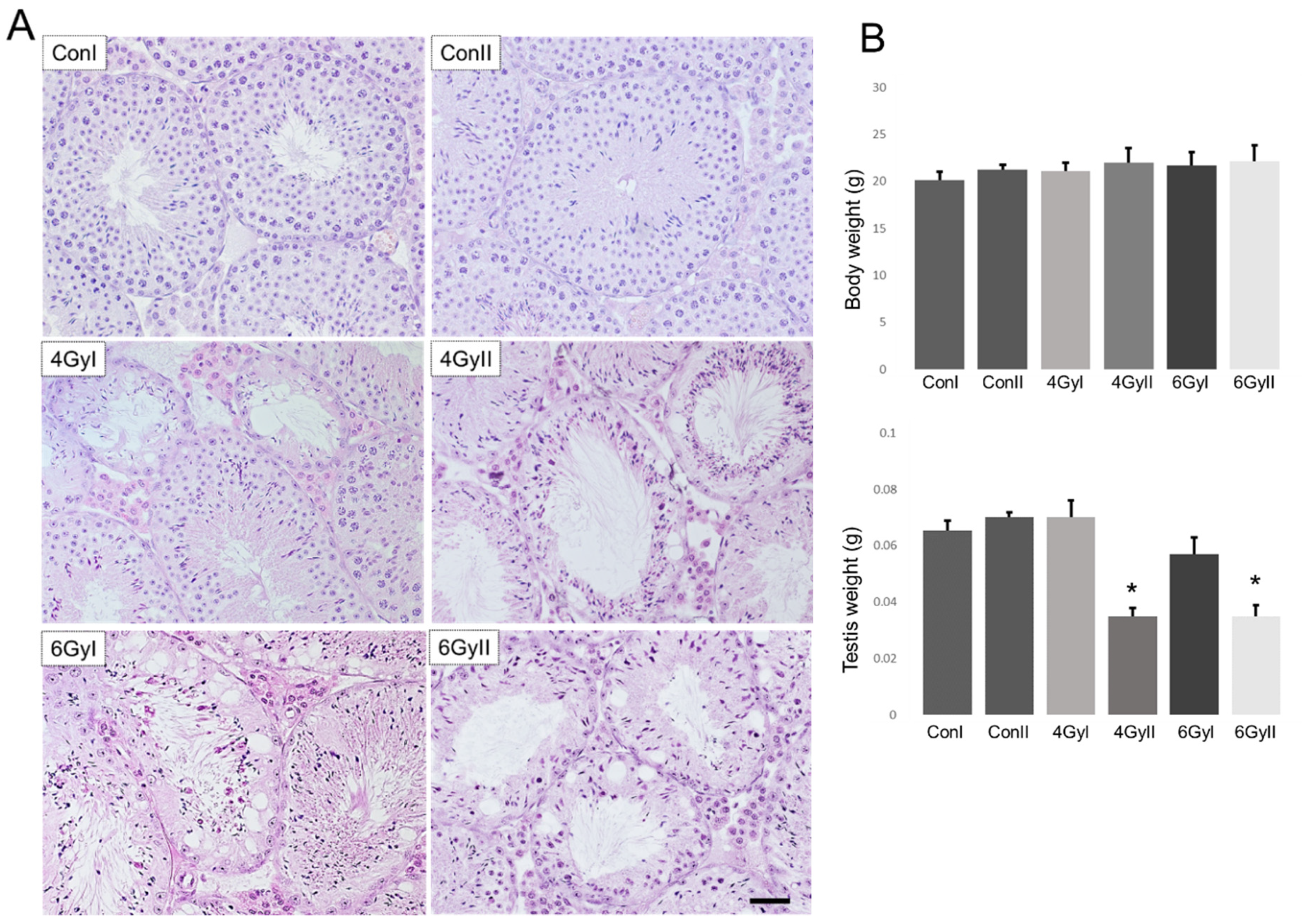 Genes 13 00151 g001 Genes 13 00151 g001