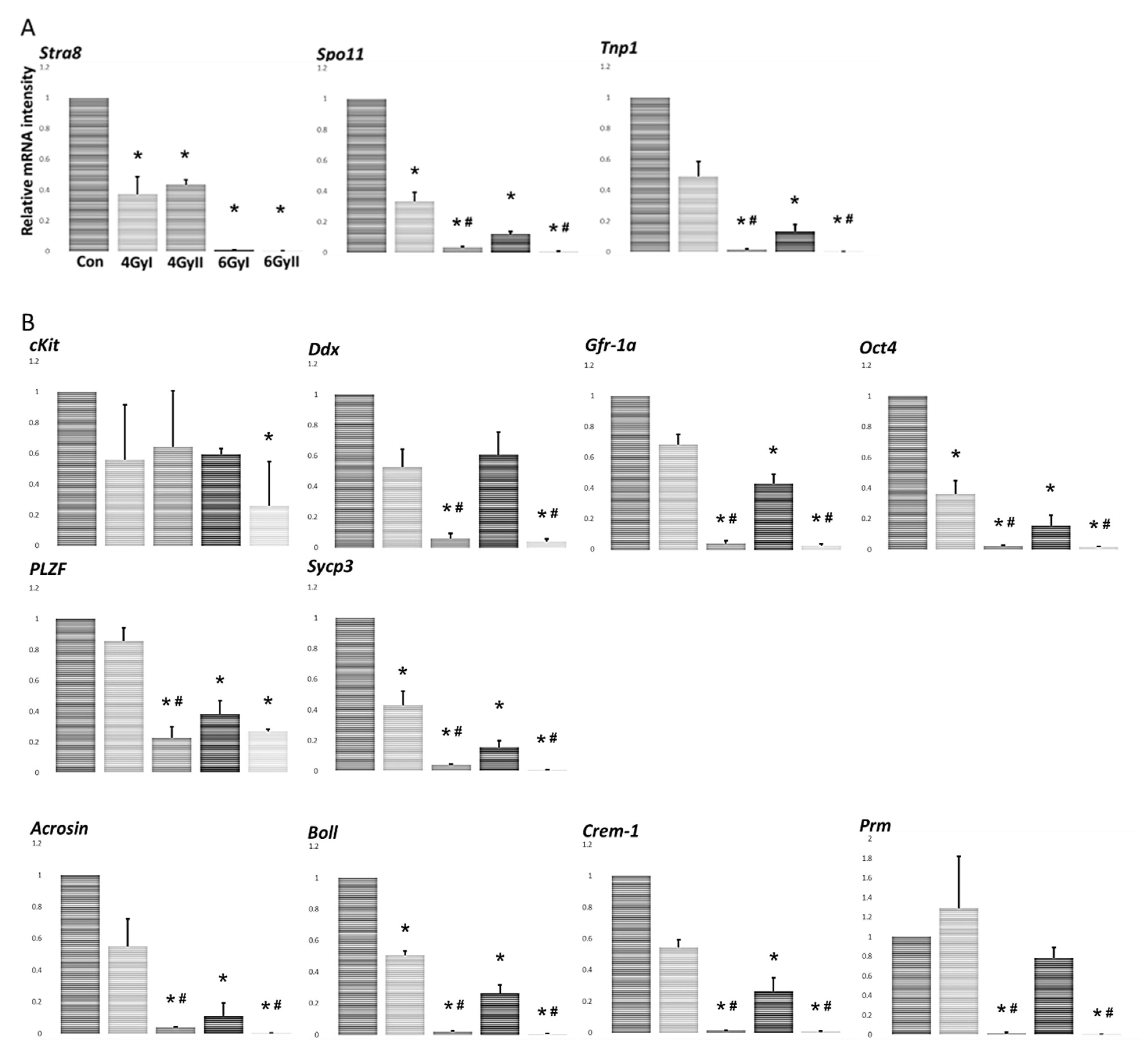 Genes 13 00151 g002 Genes 13 00151 g002