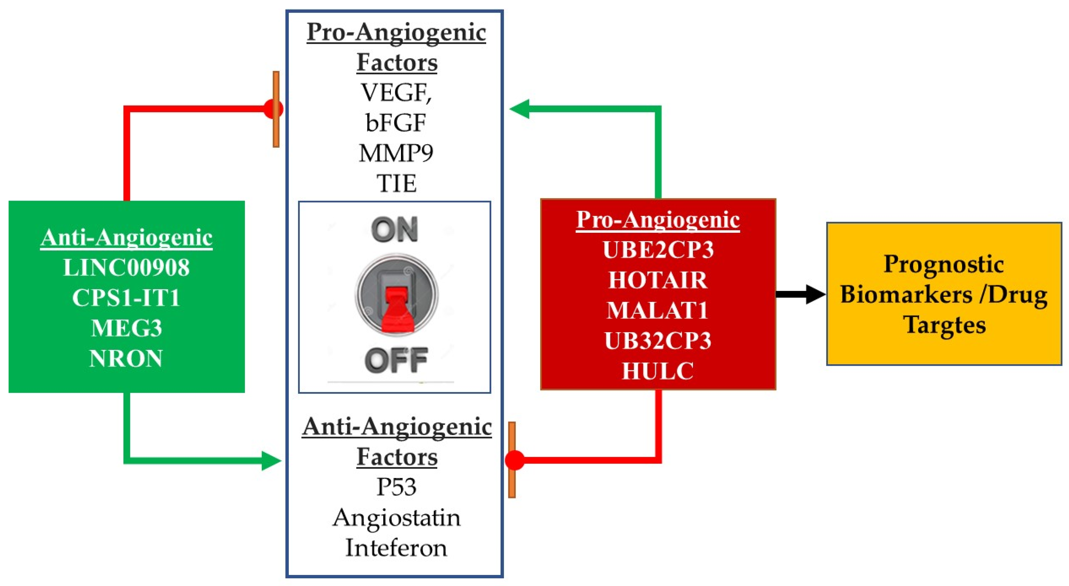 Genes 13 00152 g004 550