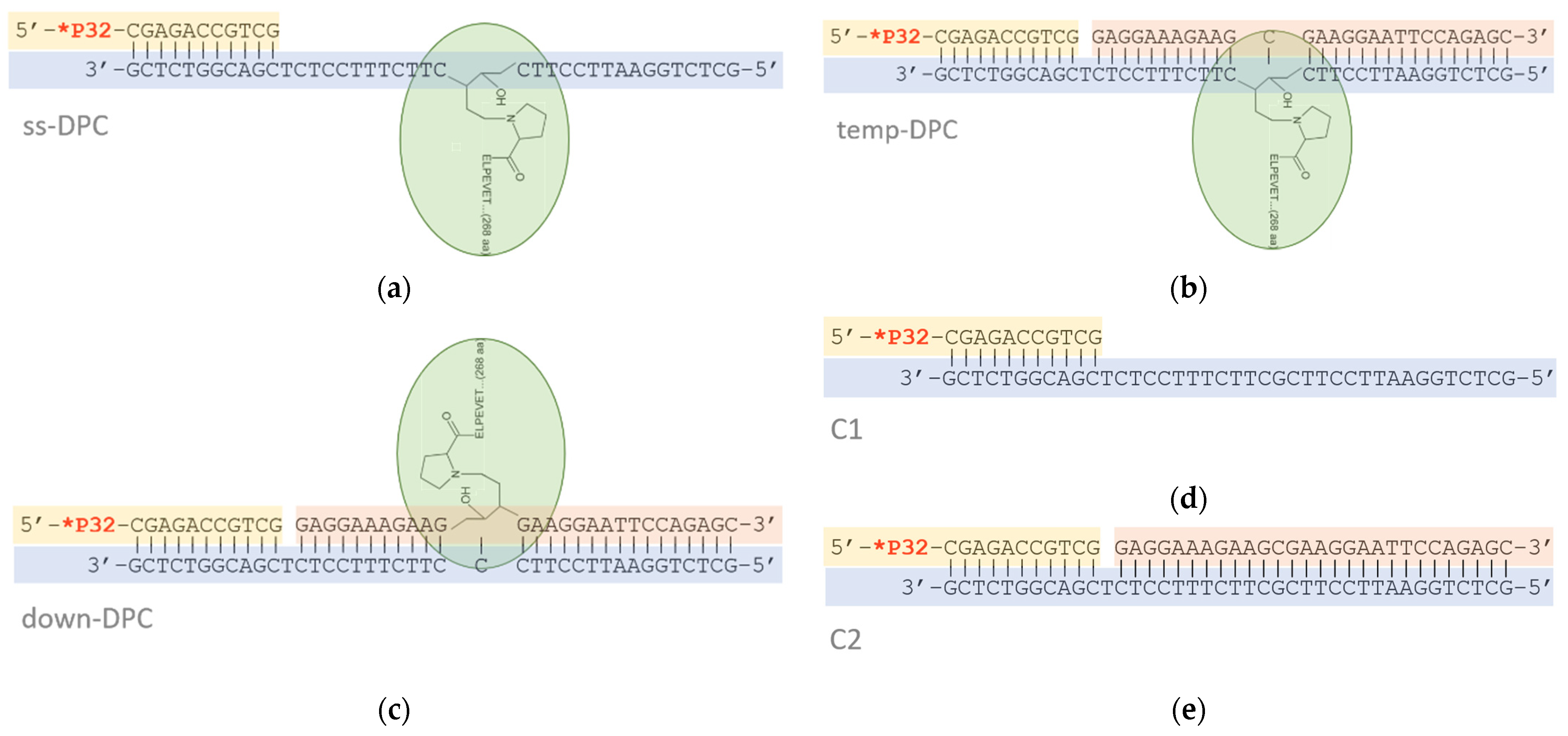 Genes 13 00166 g001 Genes 13 00166 g001