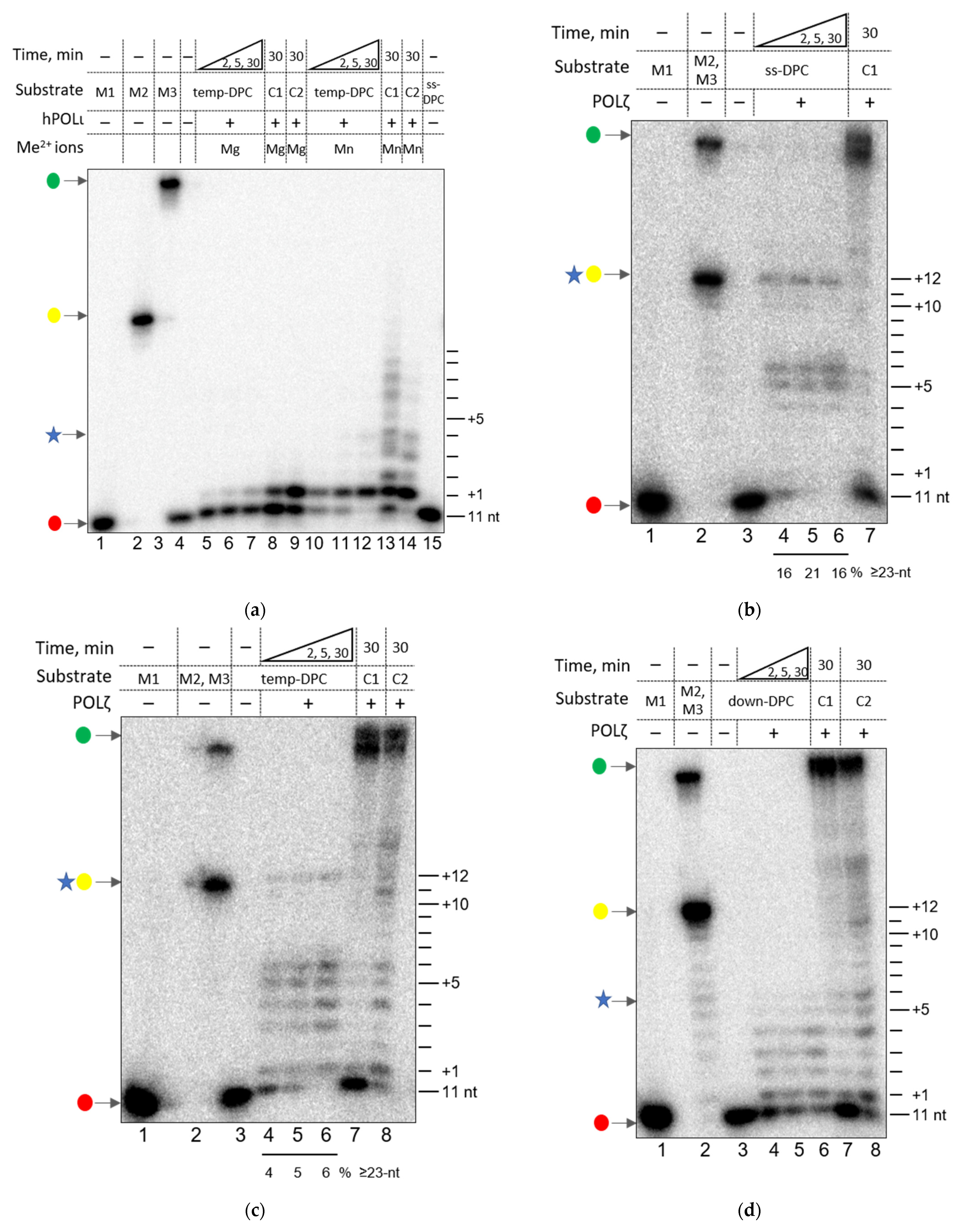 Genes 13 00166 g002 Genes 13 00166 g002