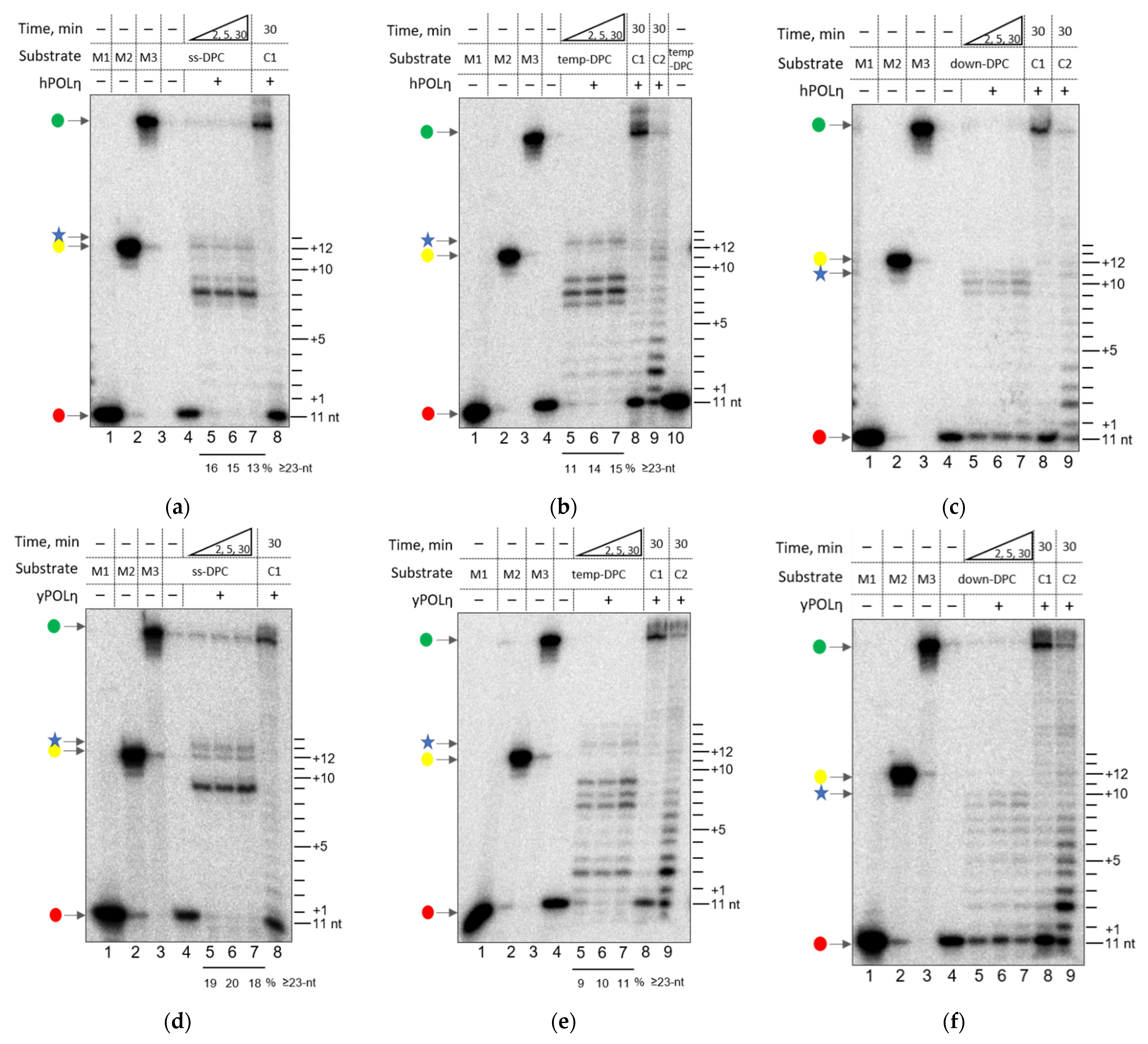 Genes 13 00166 g003 Genes 13 00166 g003