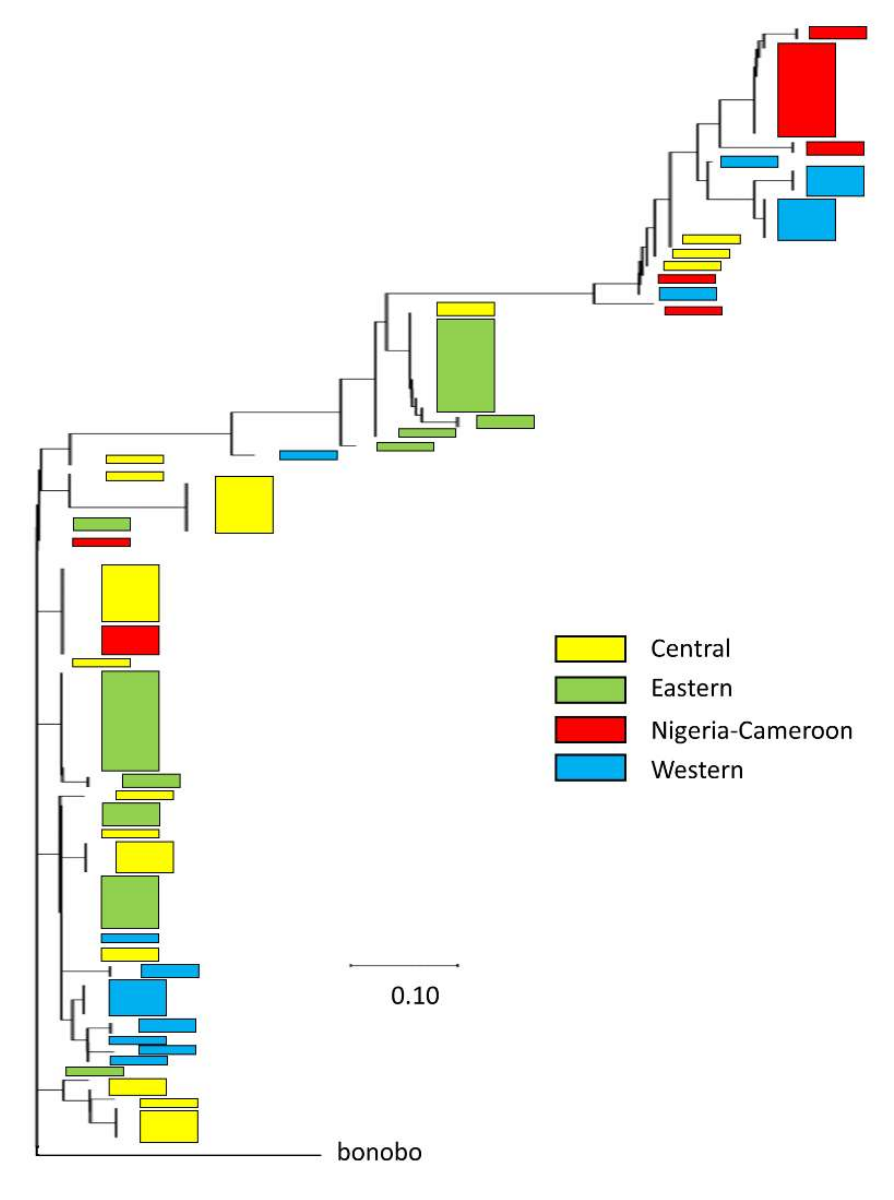 Genes 13 00183 g004 Genes 13 00183 g004