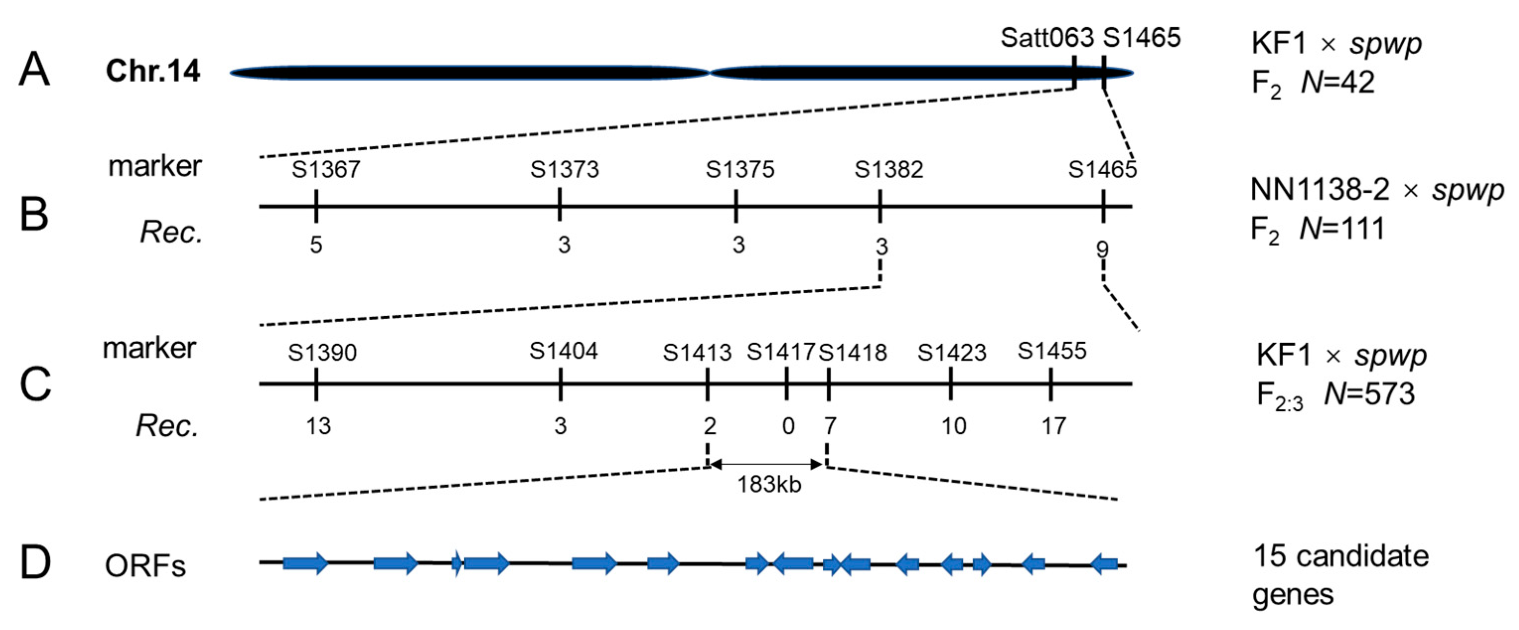 Genes 13 00185 g003 Genes 13 00185 g003
