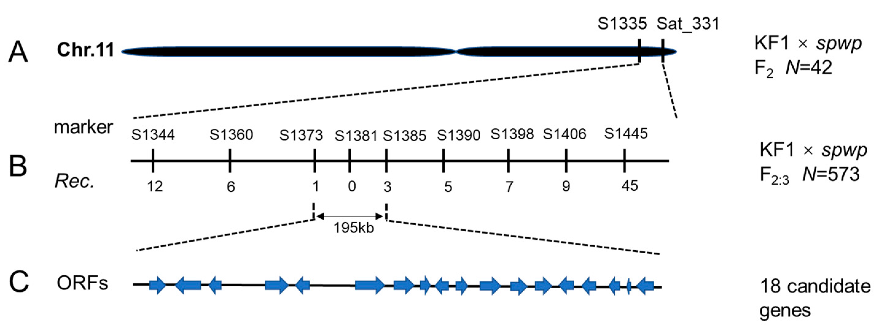 Genes 13 00185 g004 Genes 13 00185 g004