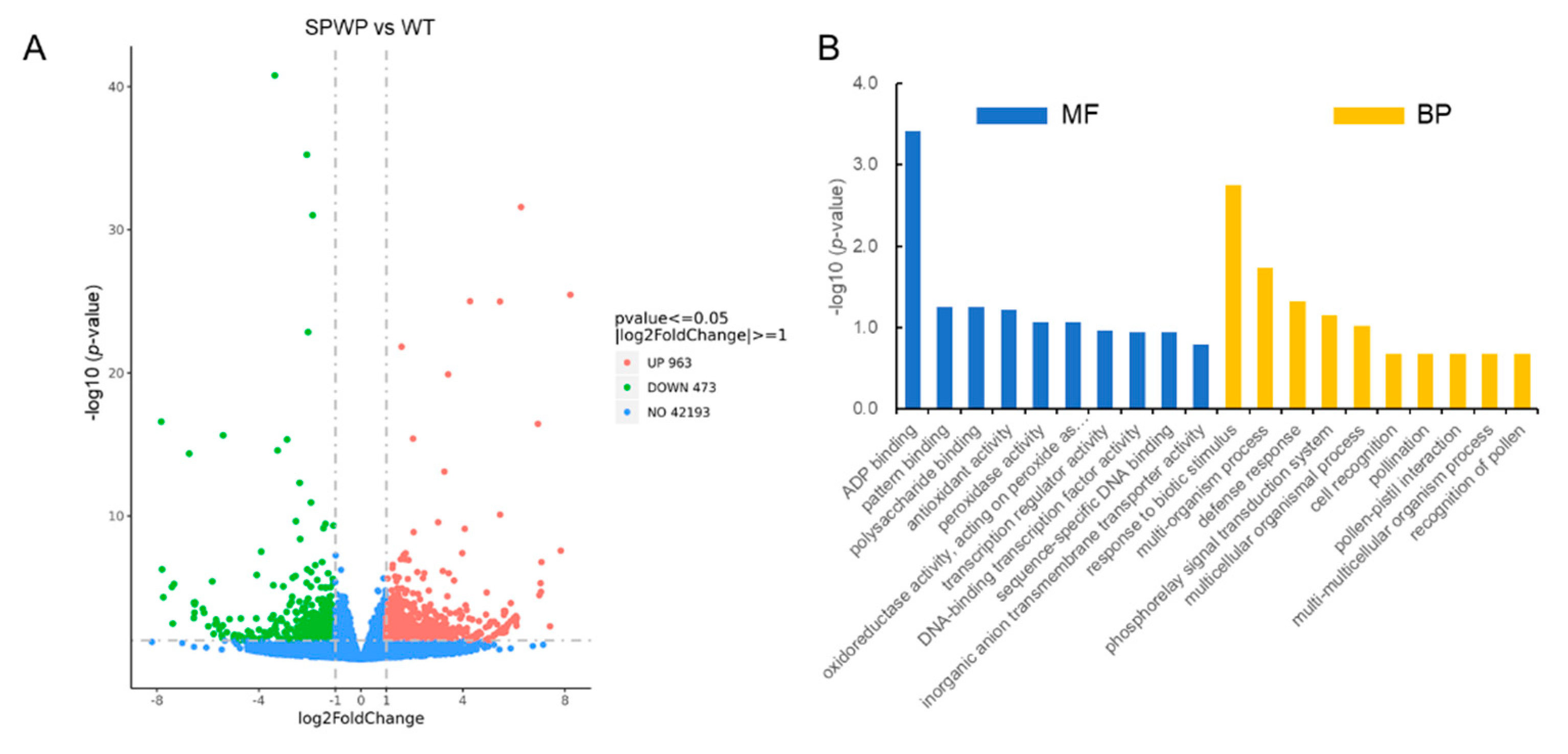 Genes 13 00185 g006 Genes 13 00185 g006