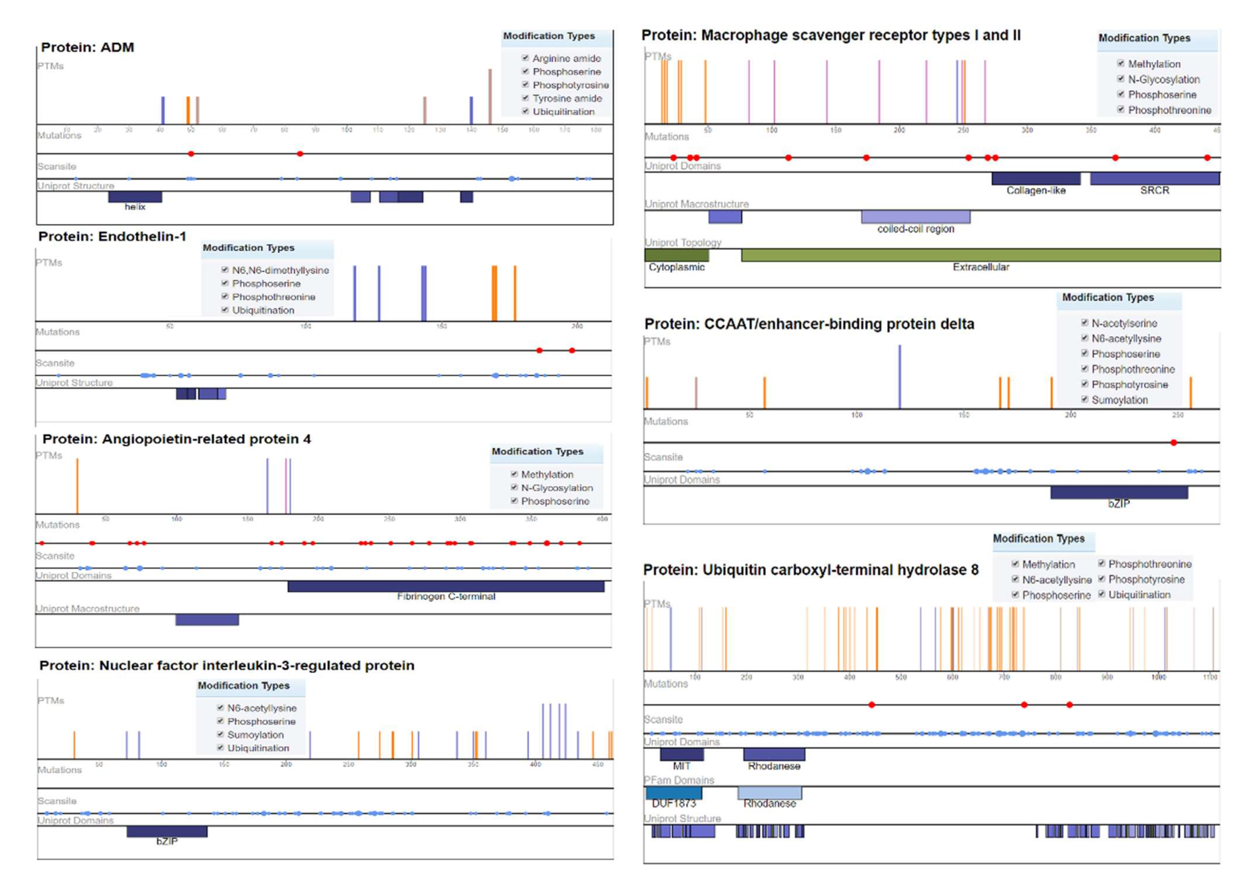Genes 13 00187 g005 Genes 13 00187 g005