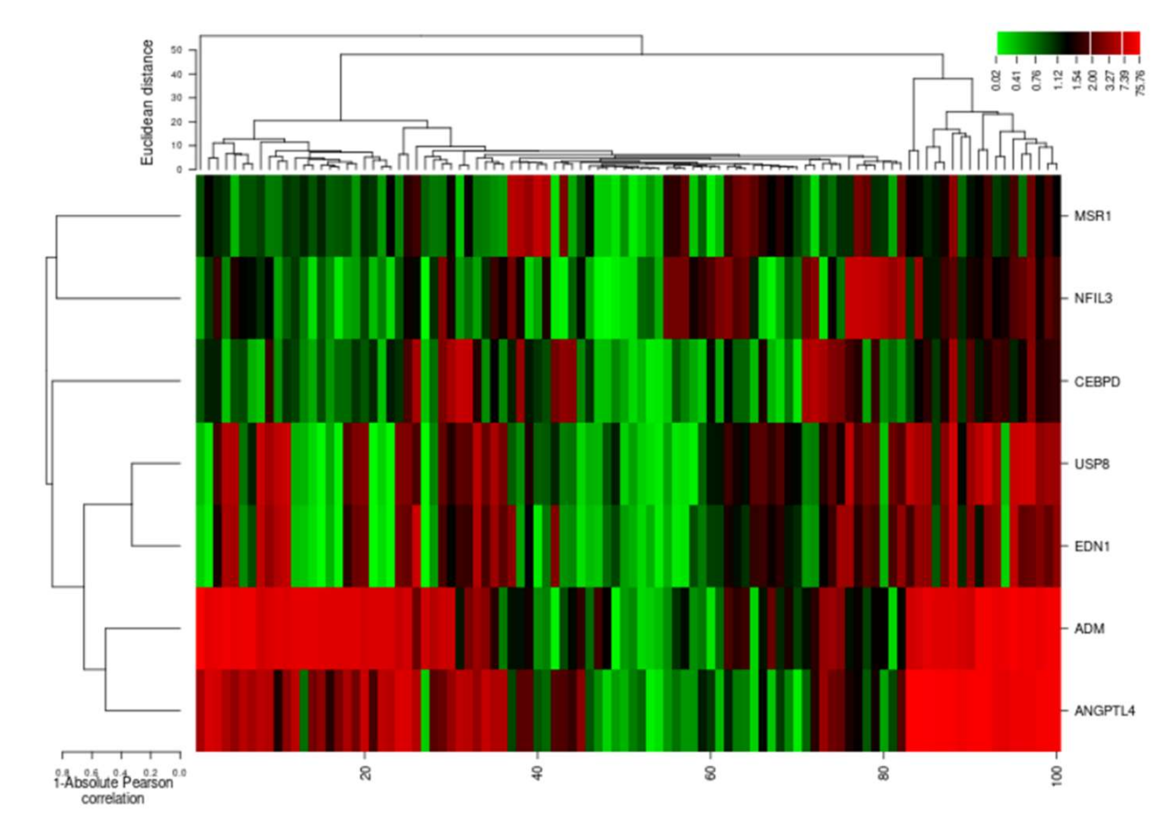 Genes 13 00187 g008 Genes 13 00187 g008