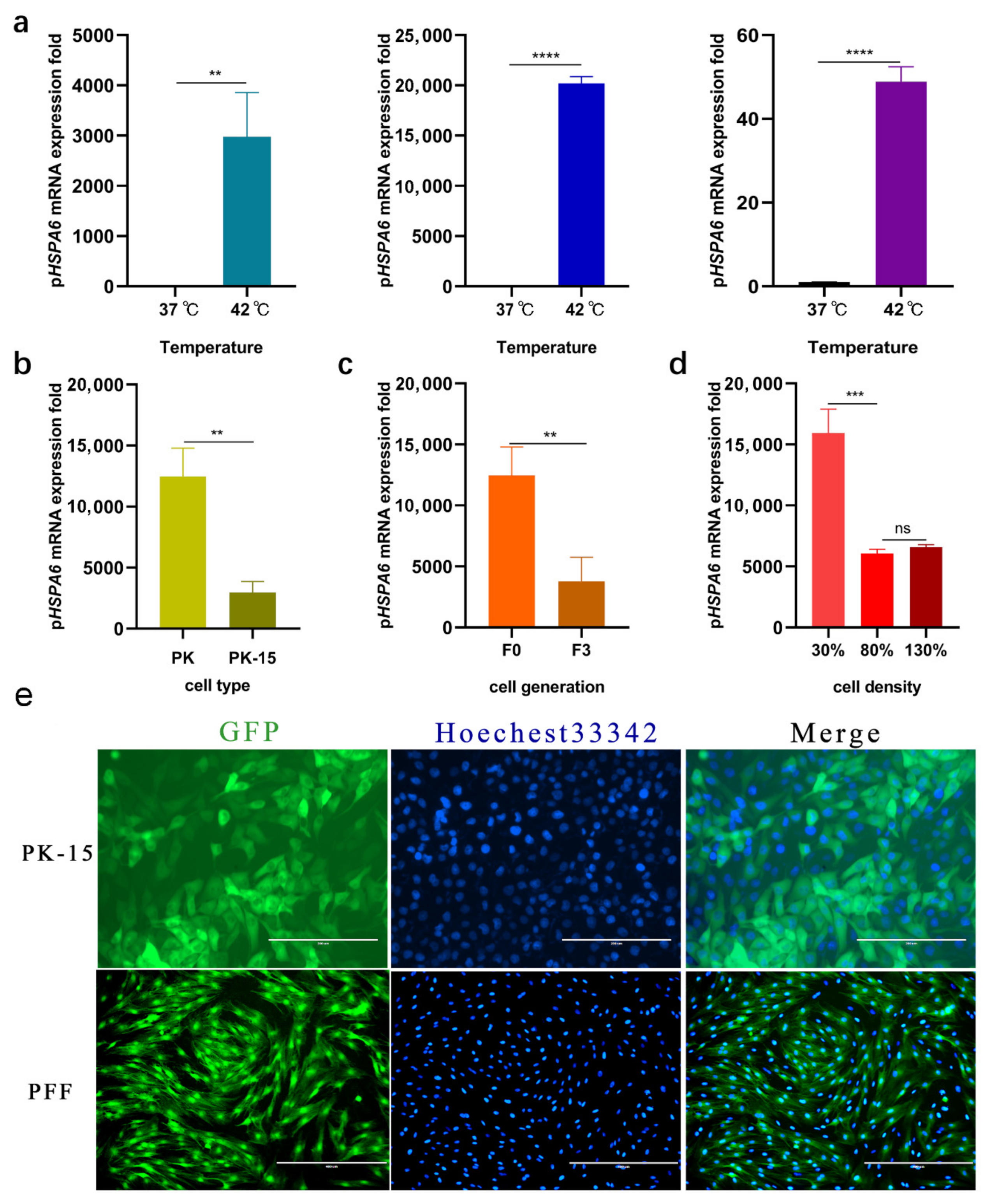 Genes 13 00189 g001 Genes 13 00189 g001