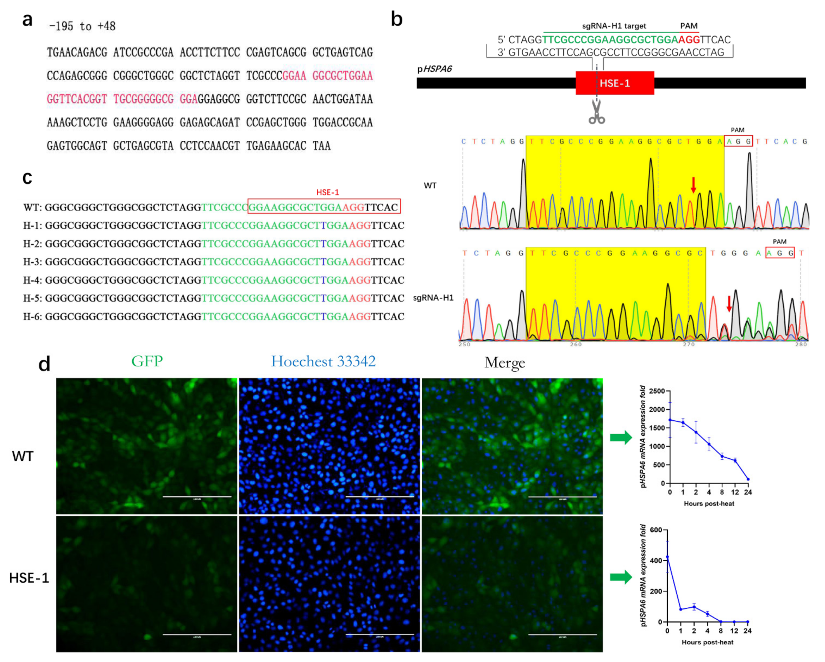 Genes 13 00189 g002 Genes 13 00189 g002