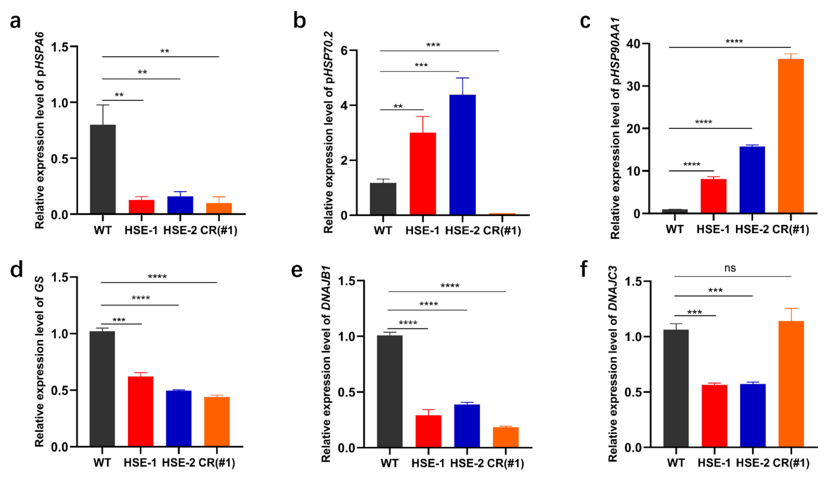 Genes 13 00189 g005 Genes 13 00189 g005