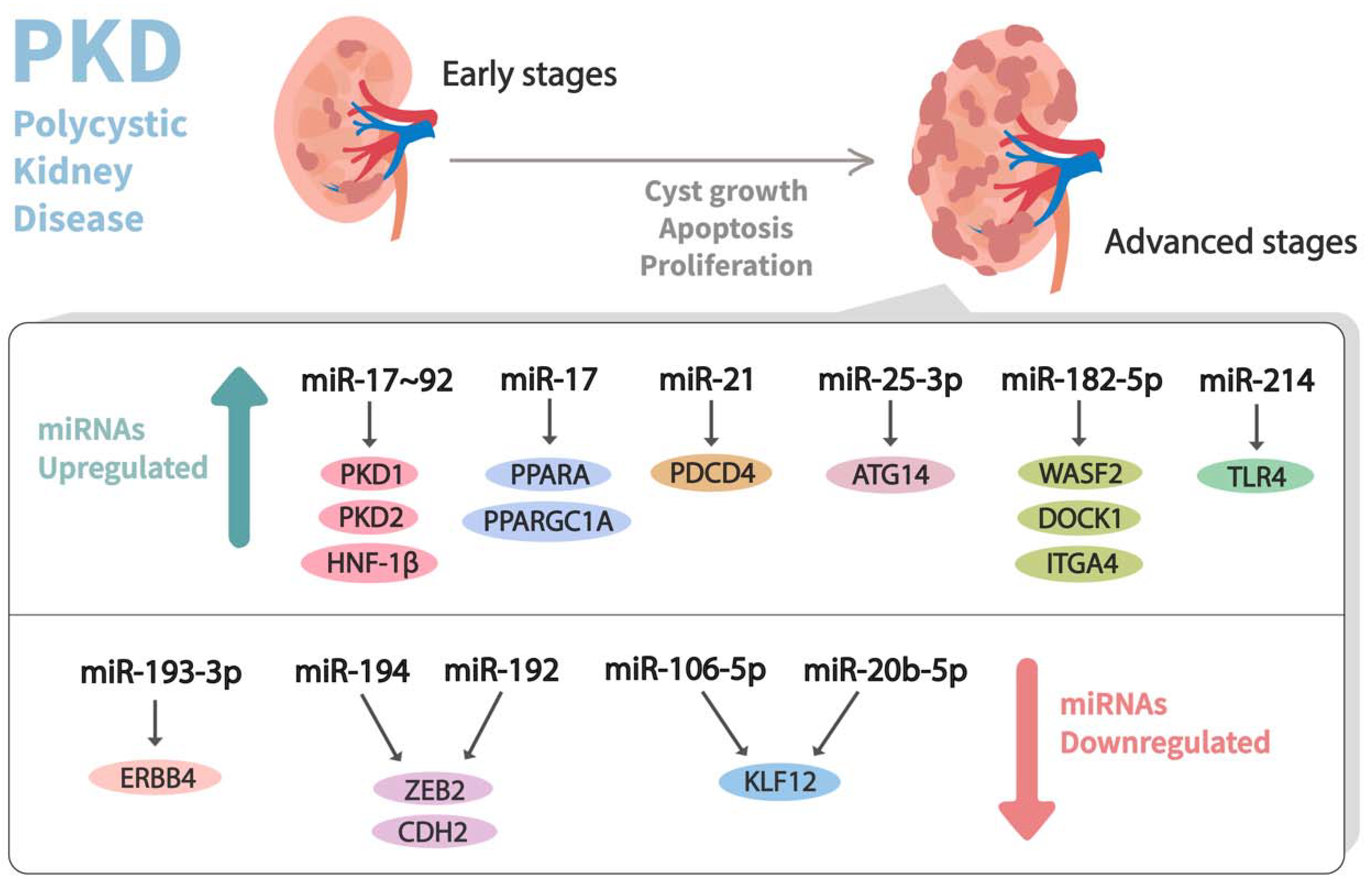 Genes 13 00191 g003 Genes 13 00191 g003