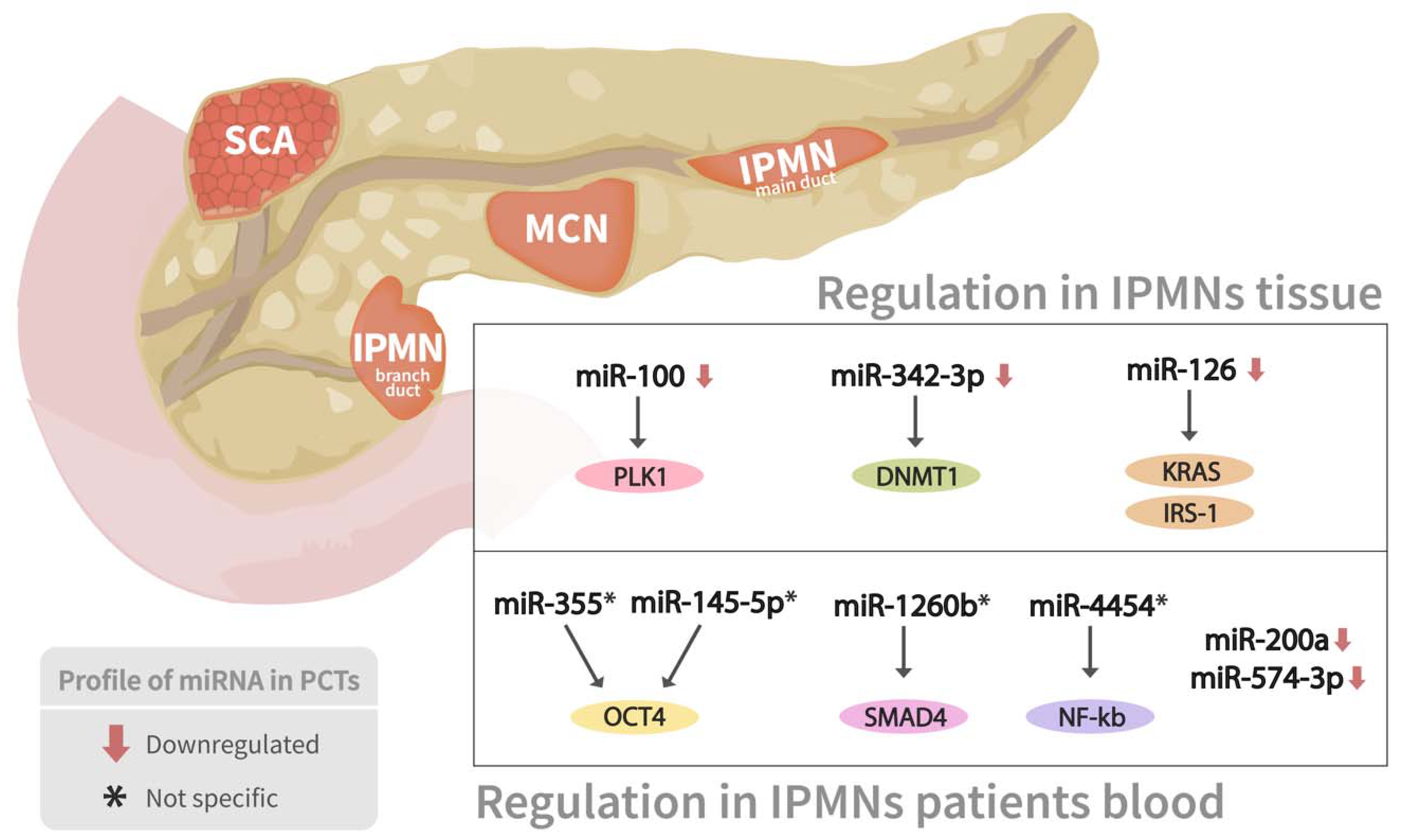 Genes 13 00191 g004 Genes 13 00191 g004