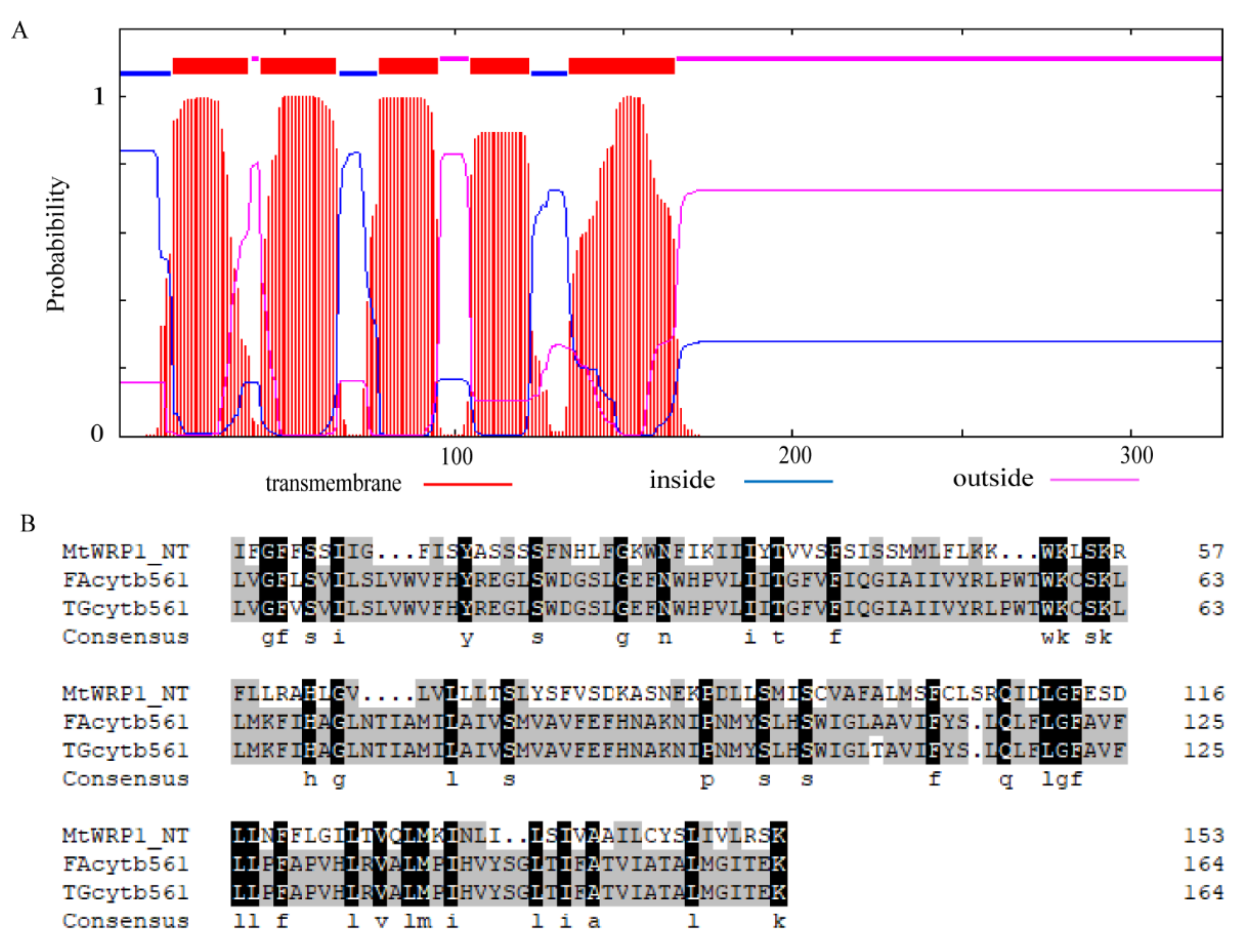 Genes 13 00193 g002