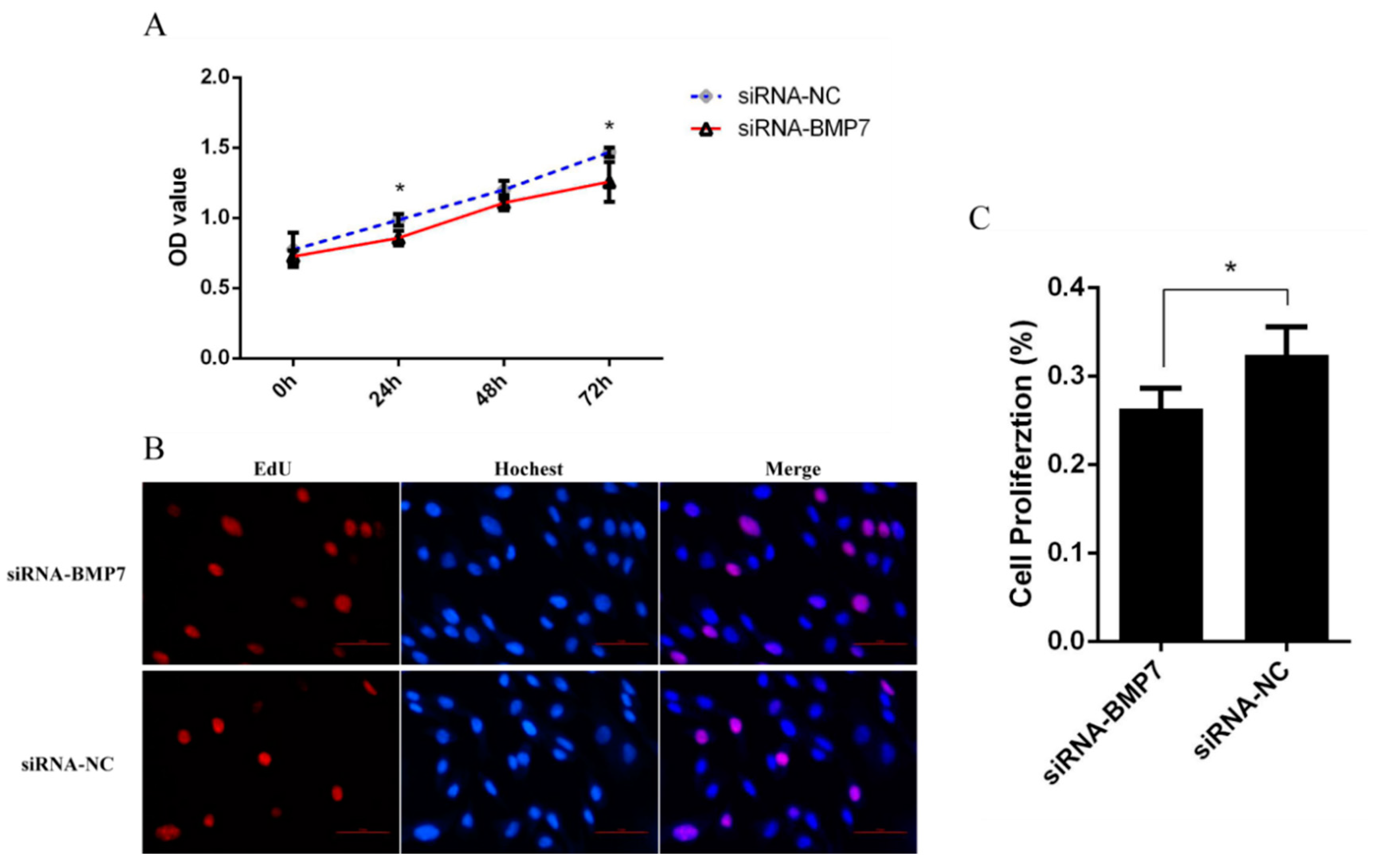Genes 13 00201 g005 550