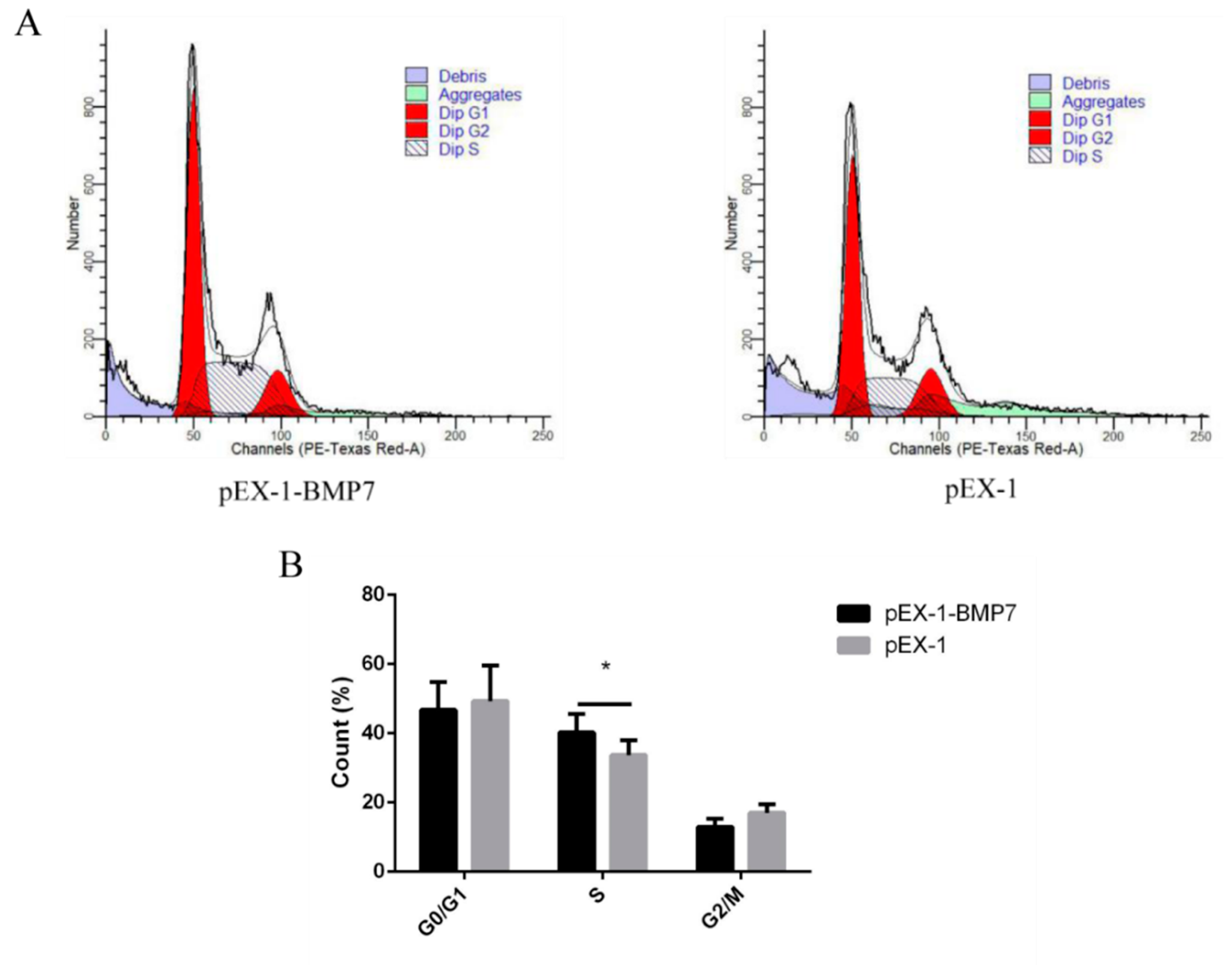 Genes 13 00201 g006 550