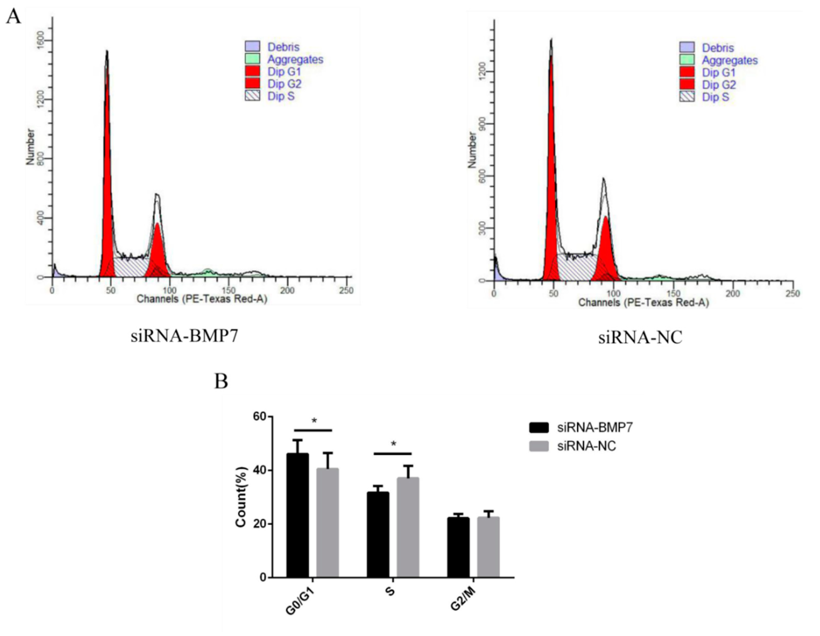 Genes 13 00201 g007 550