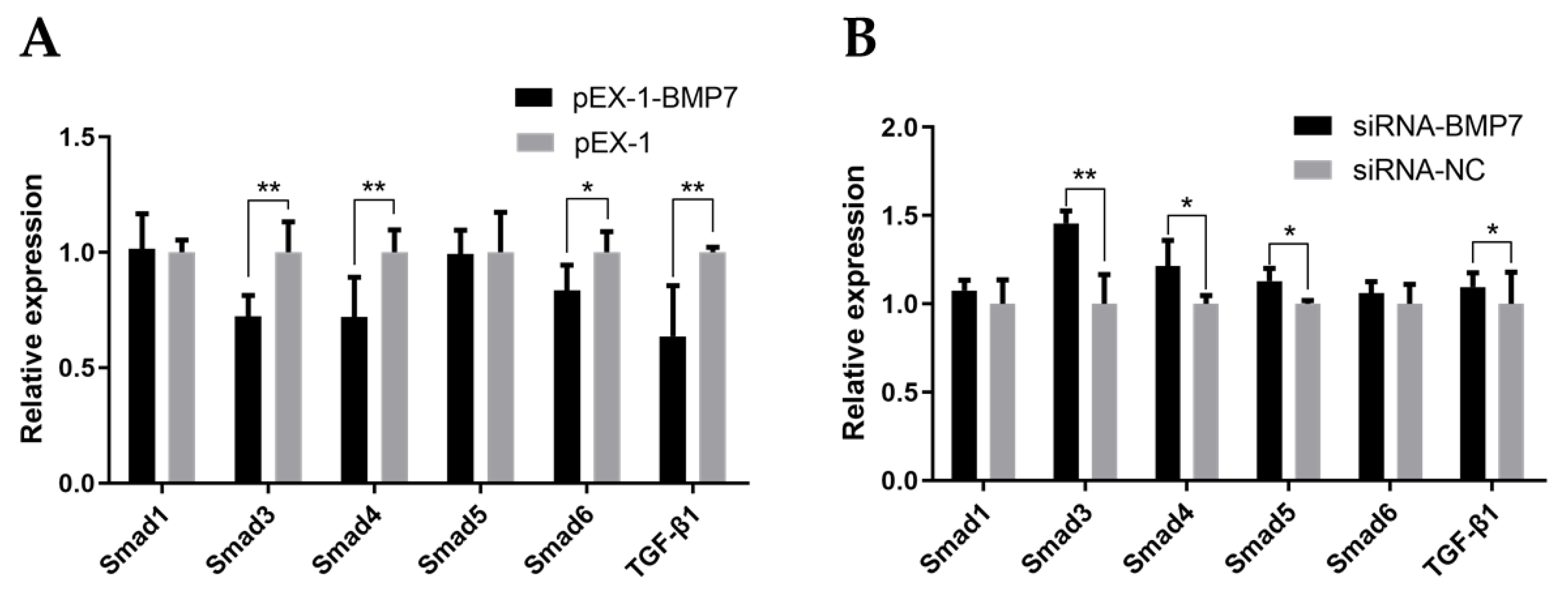 Genes 13 00201 g008 550