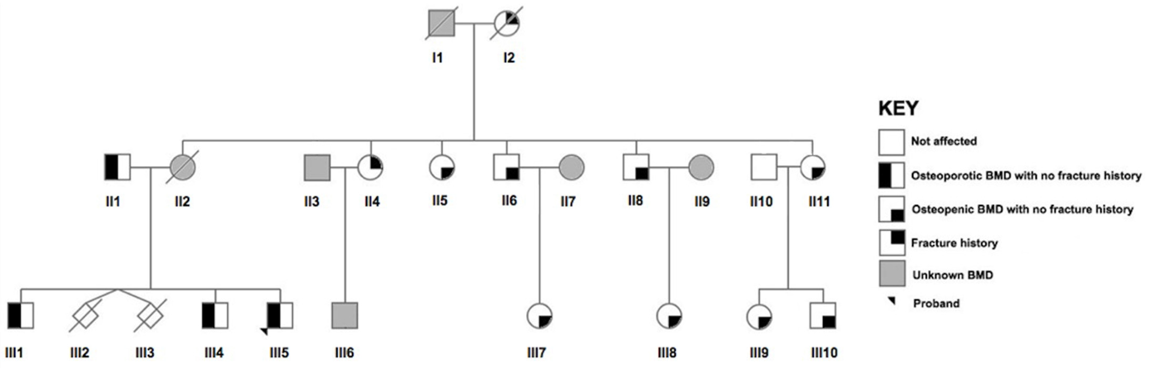 Genes 13 00204 g001 Genes 13 00204 g001