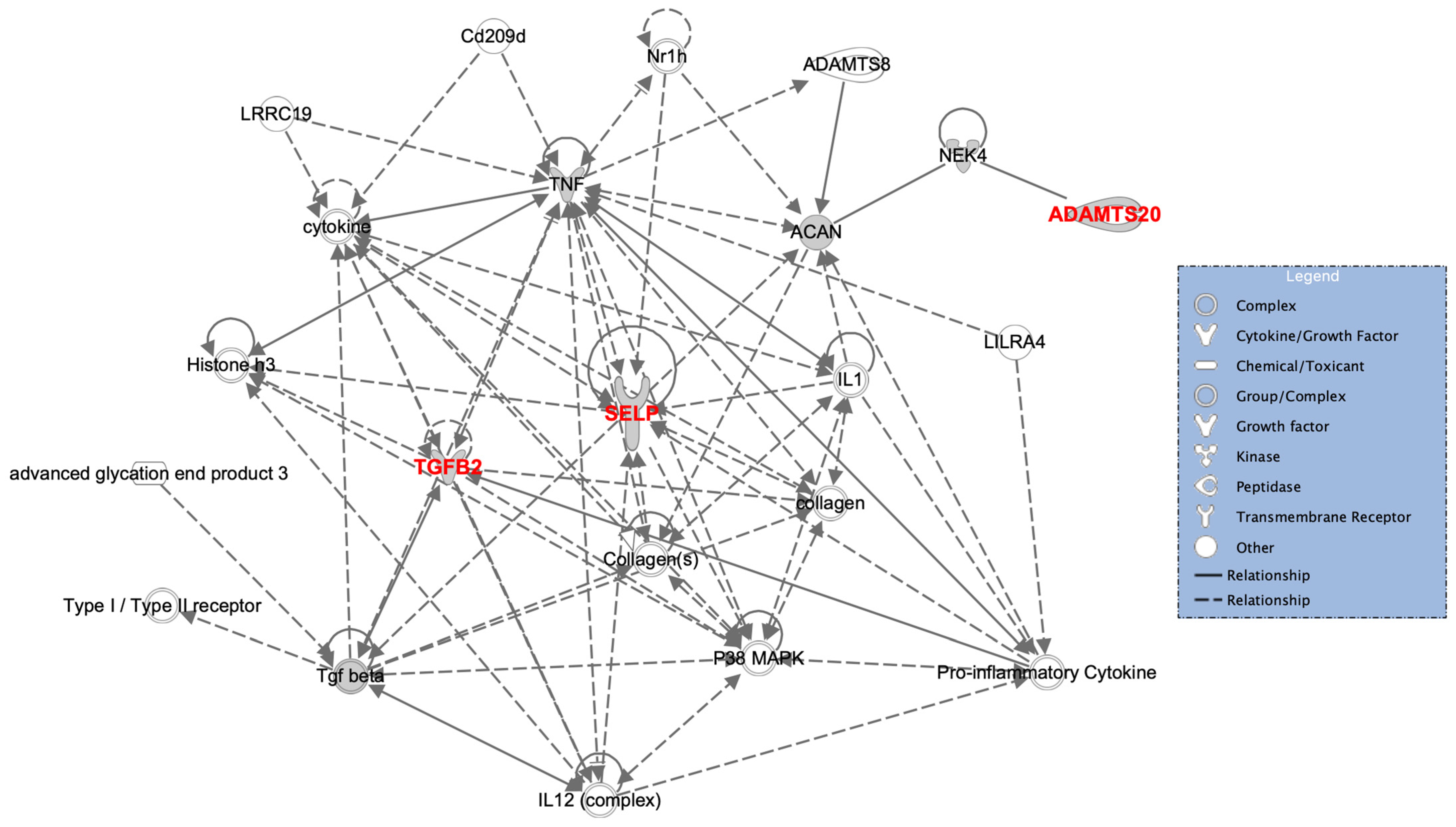 Genes 13 00204 g004 Genes 13 00204 g004