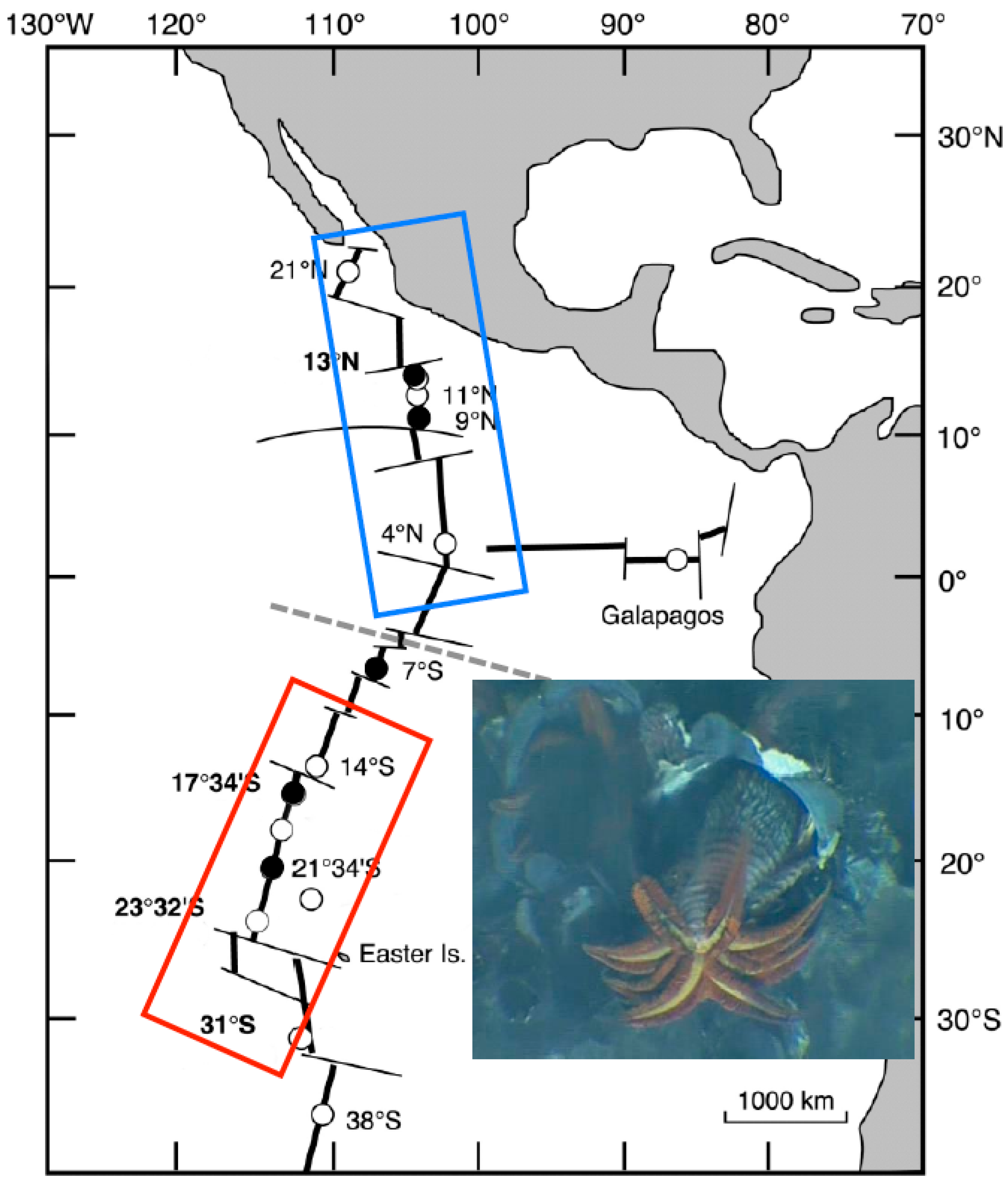 Genes 13 00206 g001 Genes 13 00206 g001