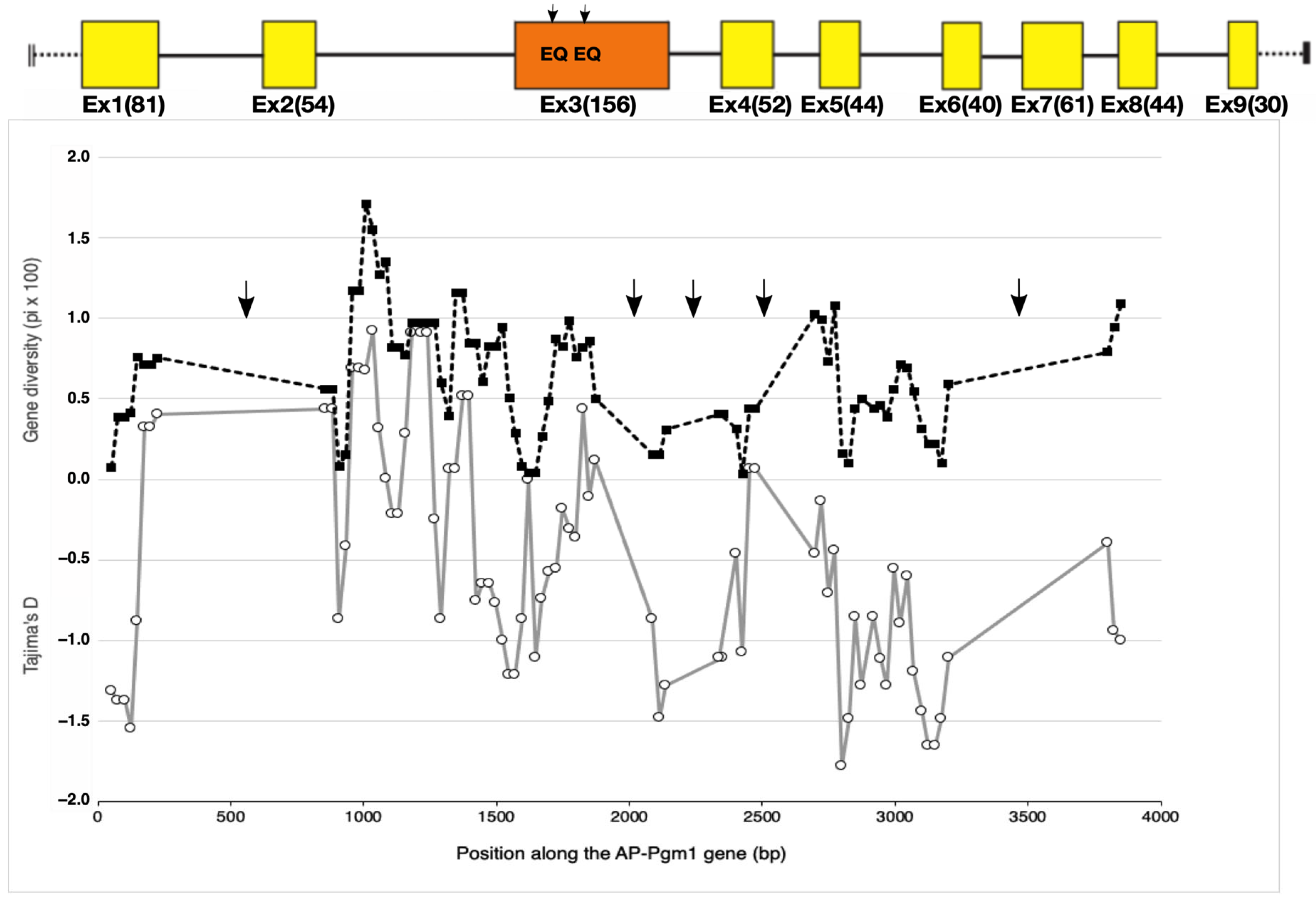 Genes 13 00206 g003 Genes 13 00206 g003