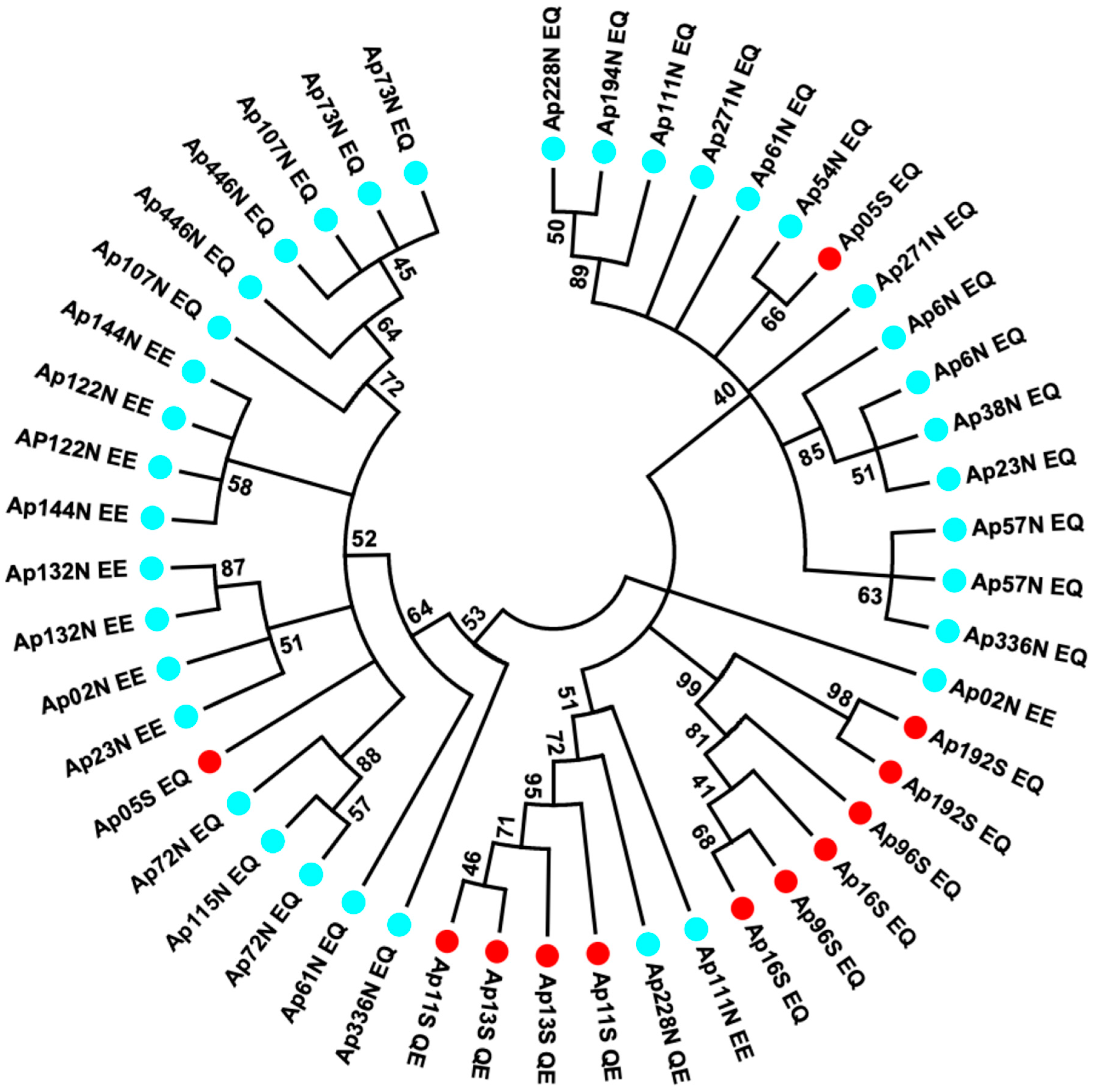 Genes 13 00206 g004 Genes 13 00206 g004