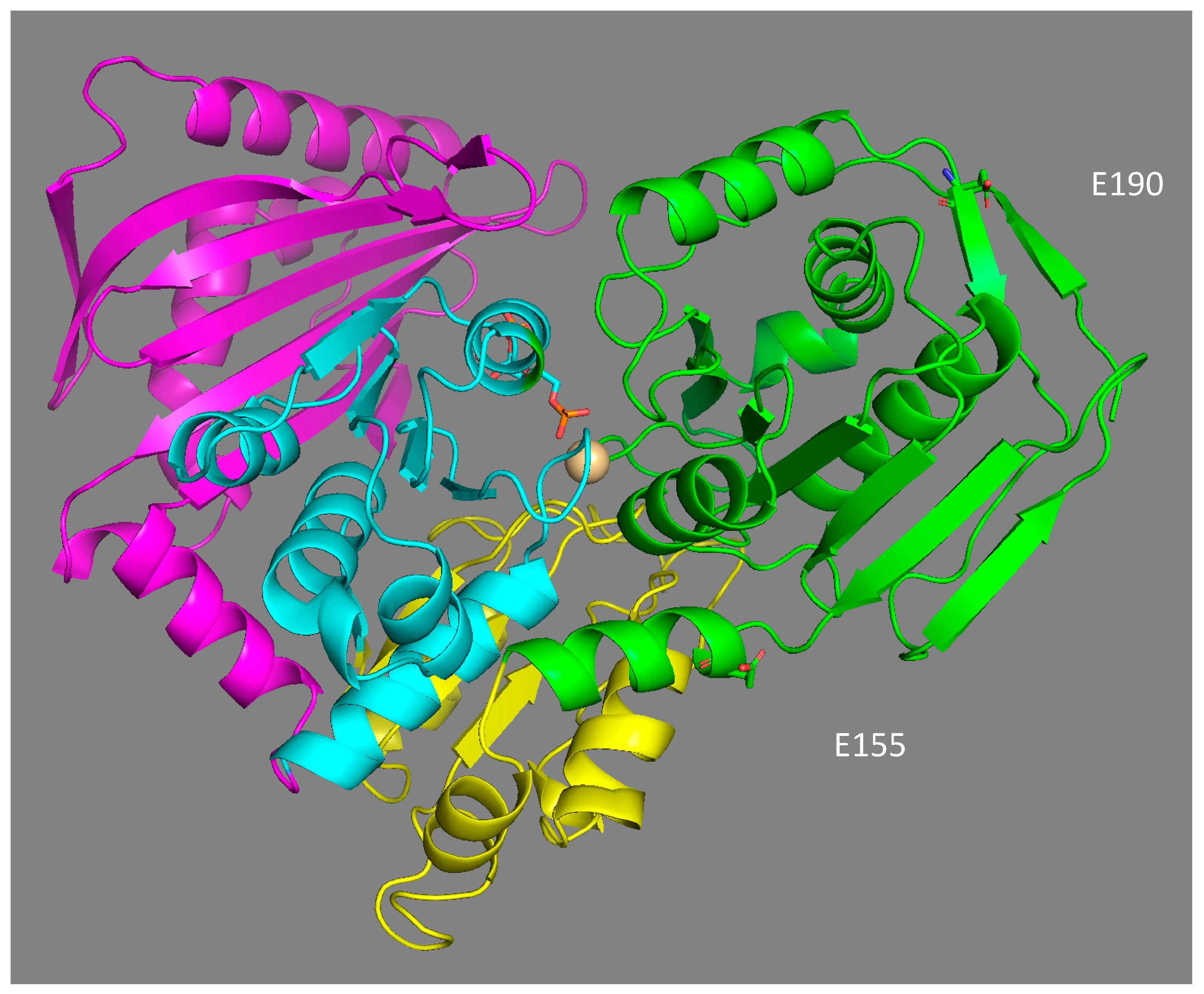 Genes 13 00206 g006 Genes 13 00206 g006