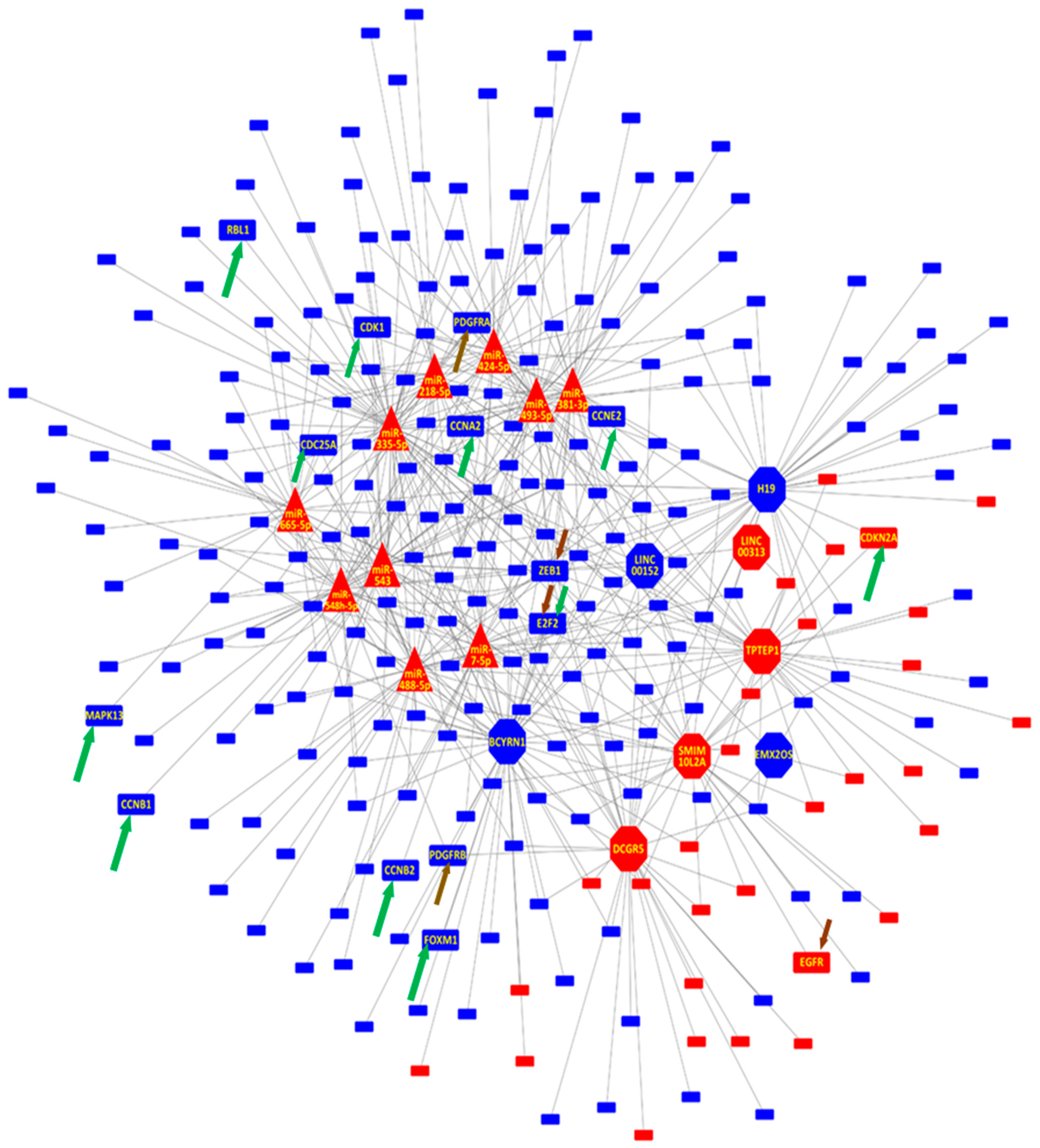 Genes 13 00208 g002 Genes 13 00208 g002