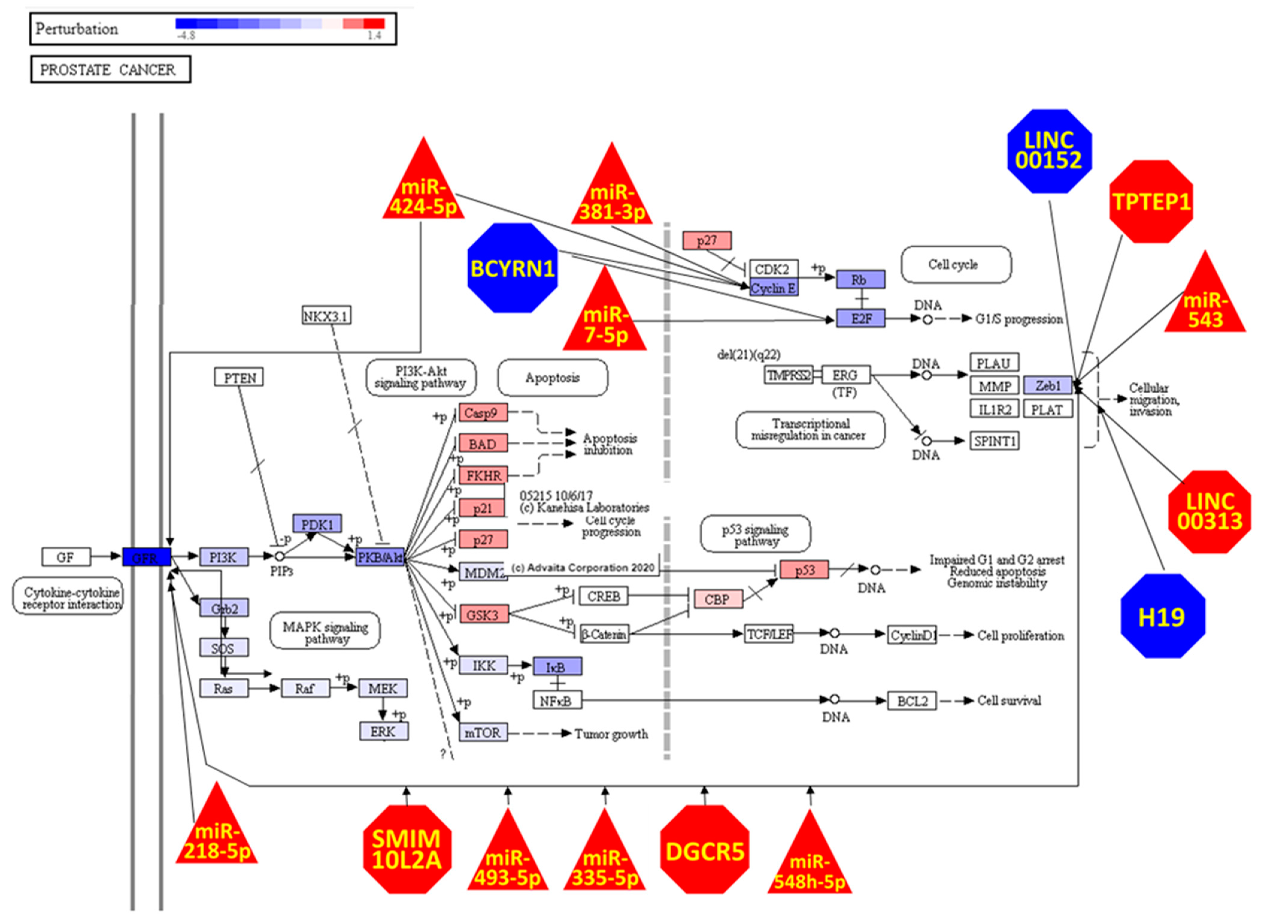 Genes 13 00208 g005 Genes 13 00208 g005