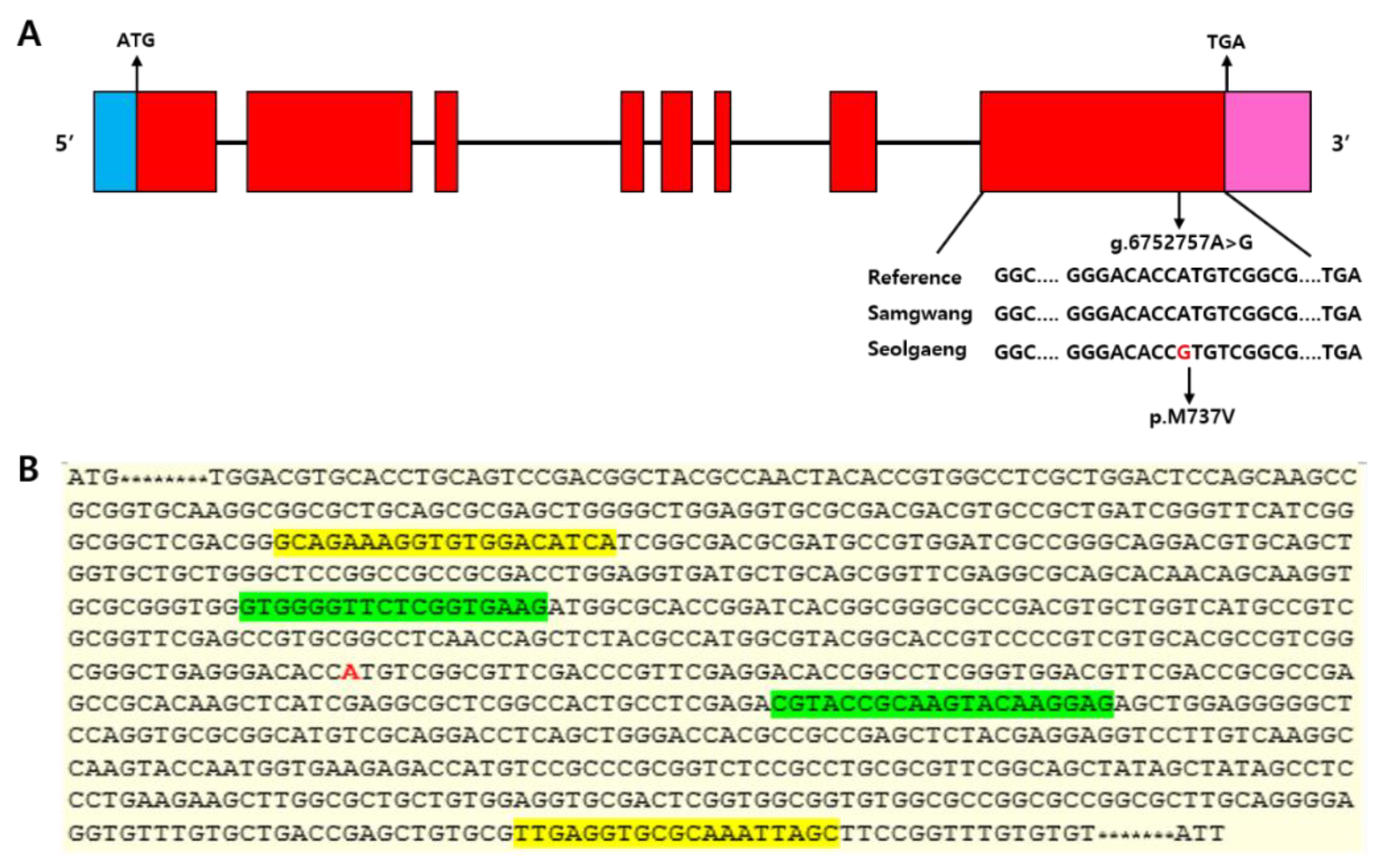 Genes 13 00210 g002 550