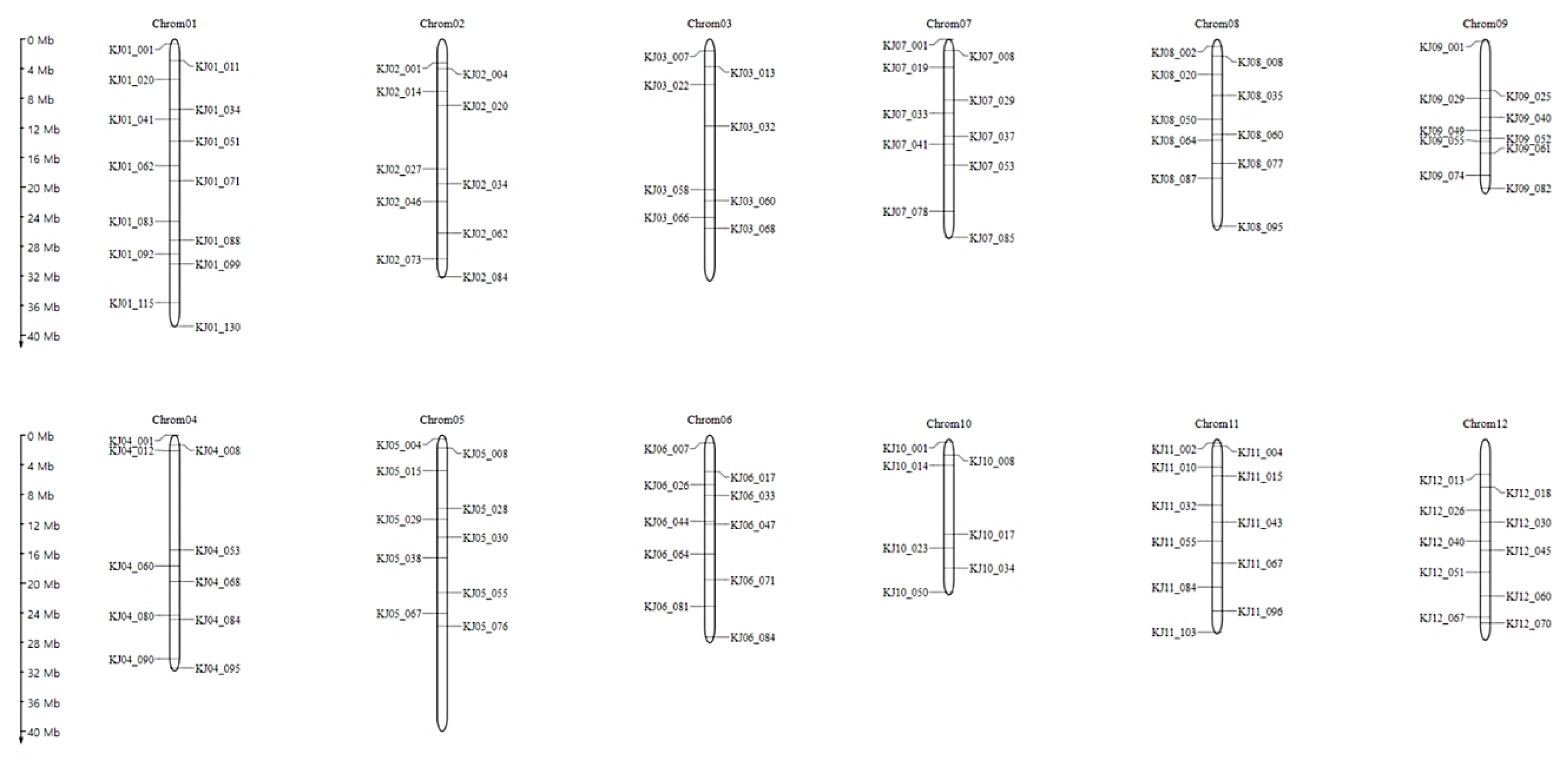Genes 13 00210 g003 550
