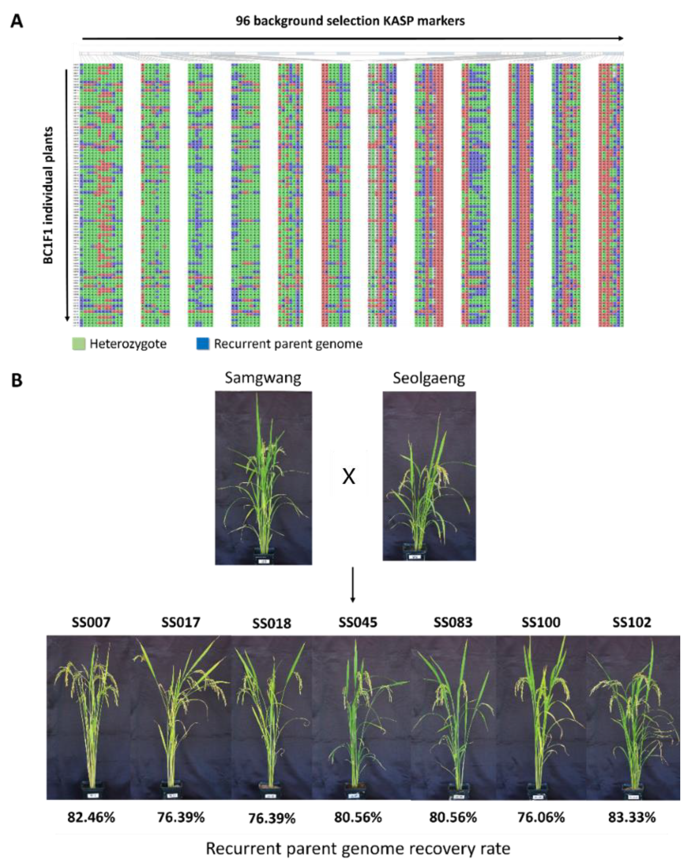 Genes 13 00210 g004 550