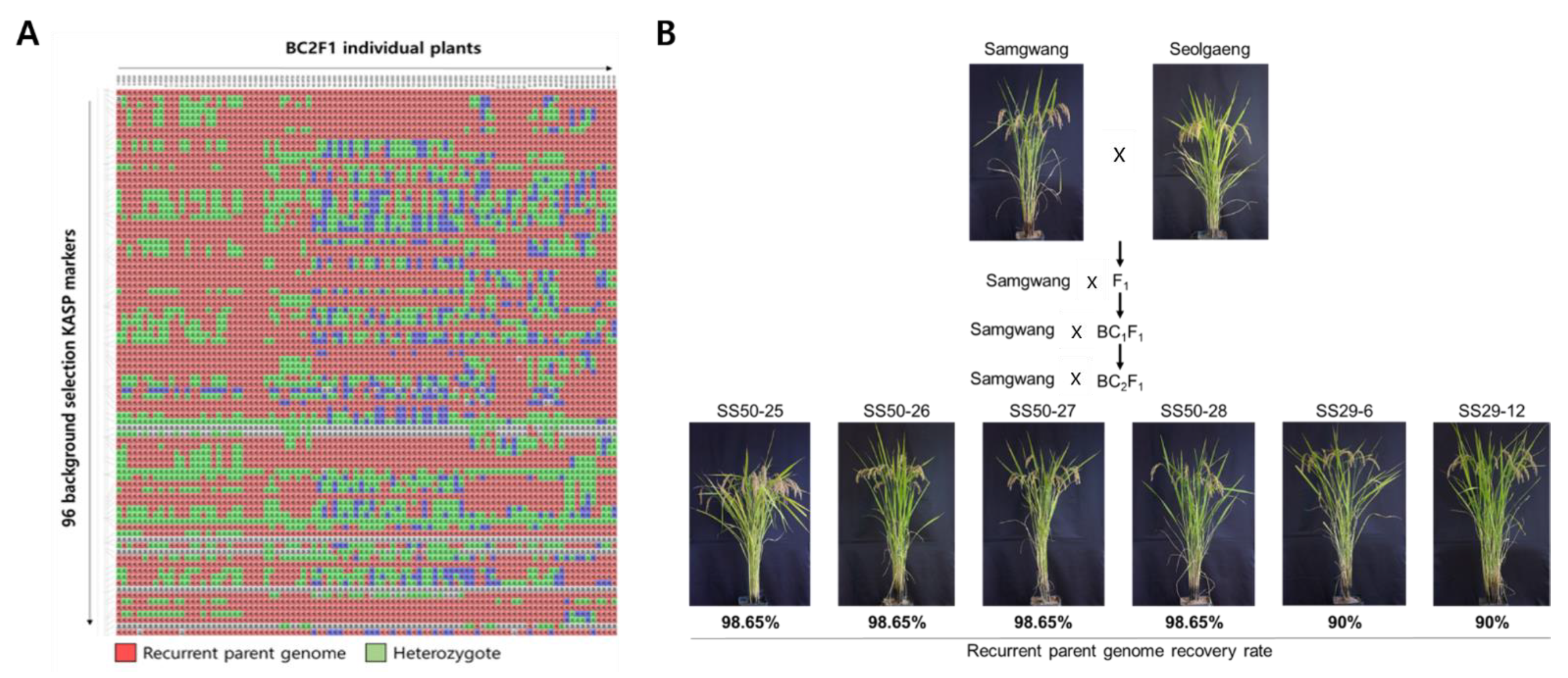 Genes 13 00210 g005 550