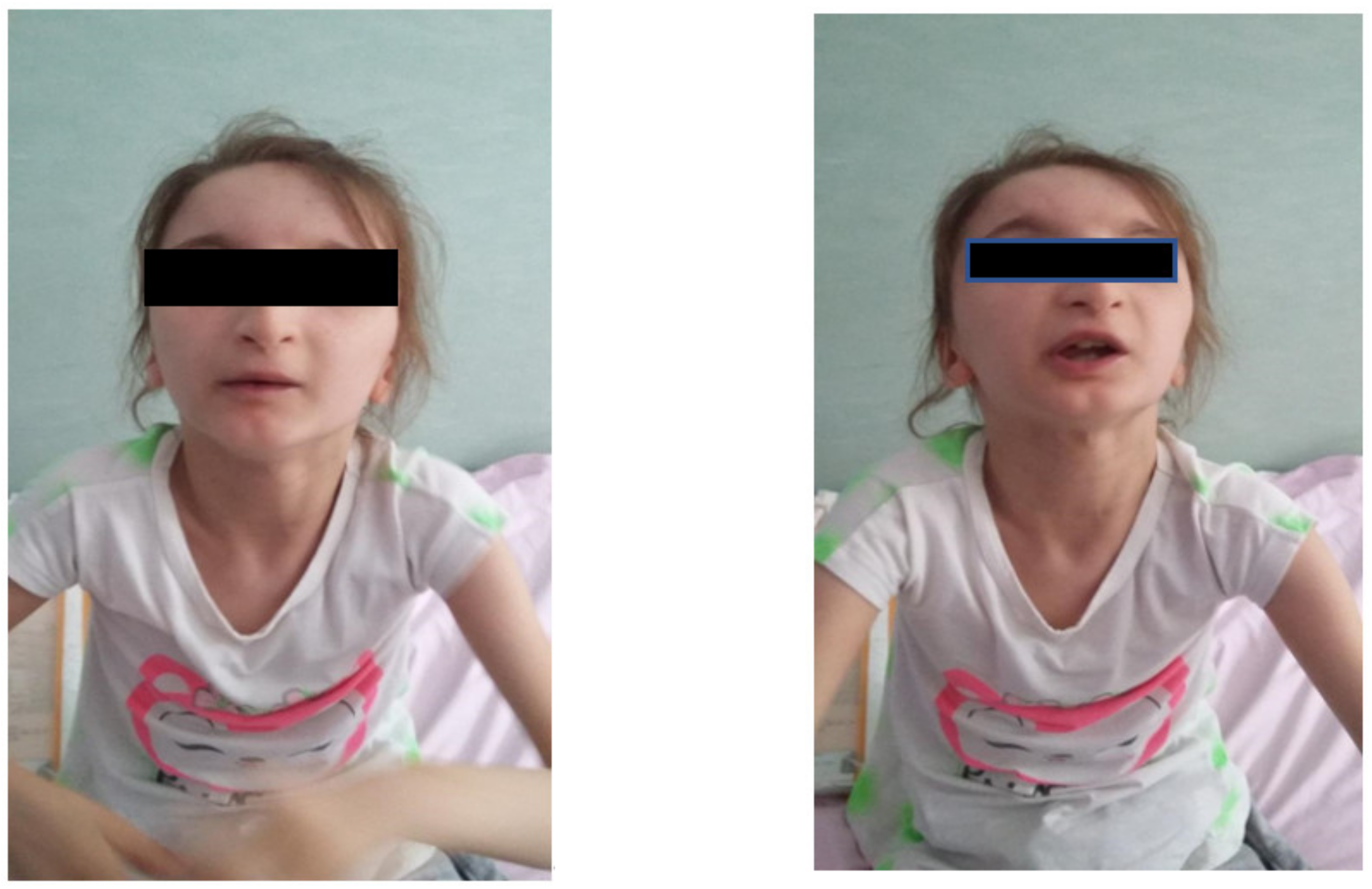 Genes 13 00212 g001 550