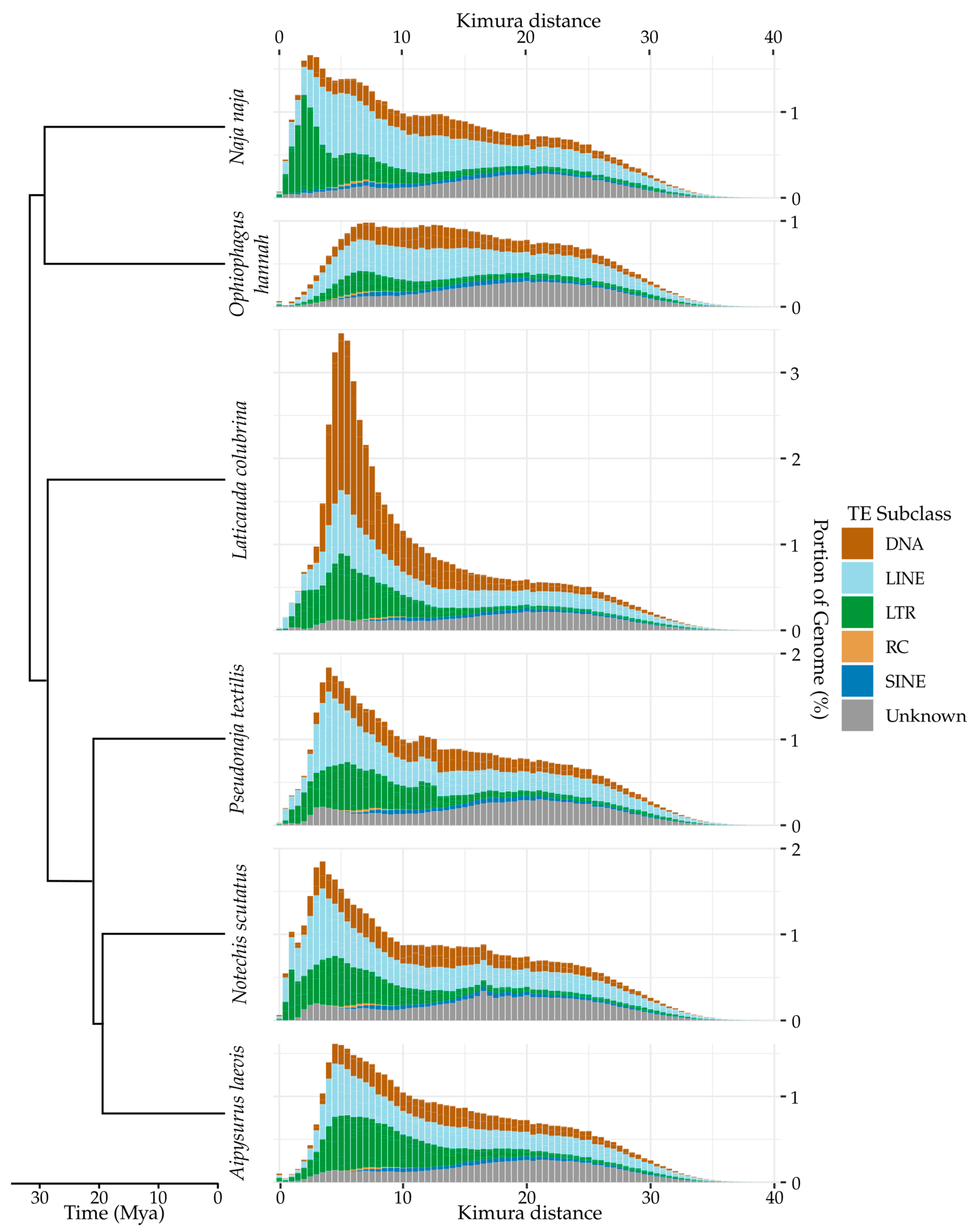 Genes 13 00217 g001