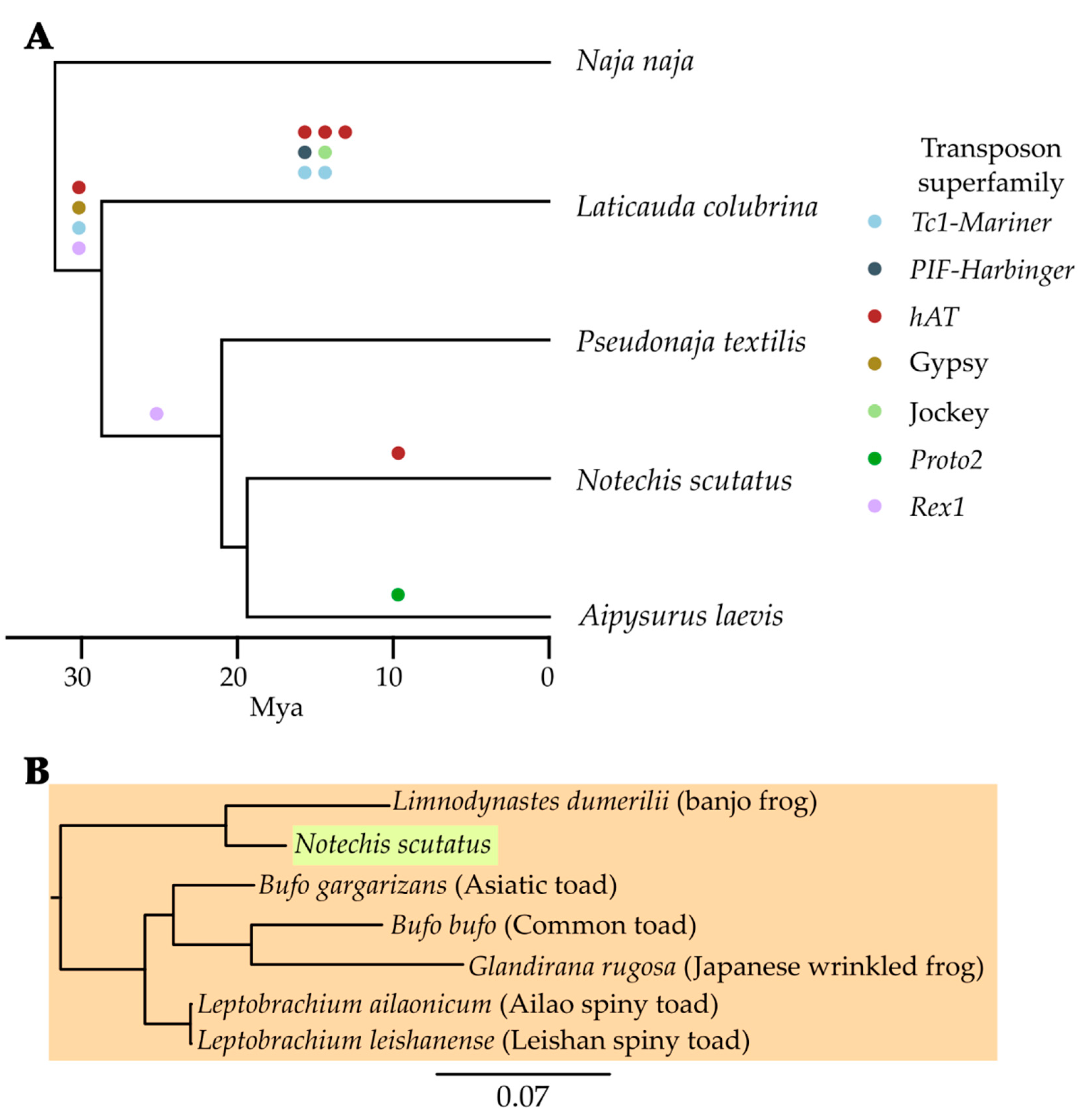 Genes 13 00217 g004