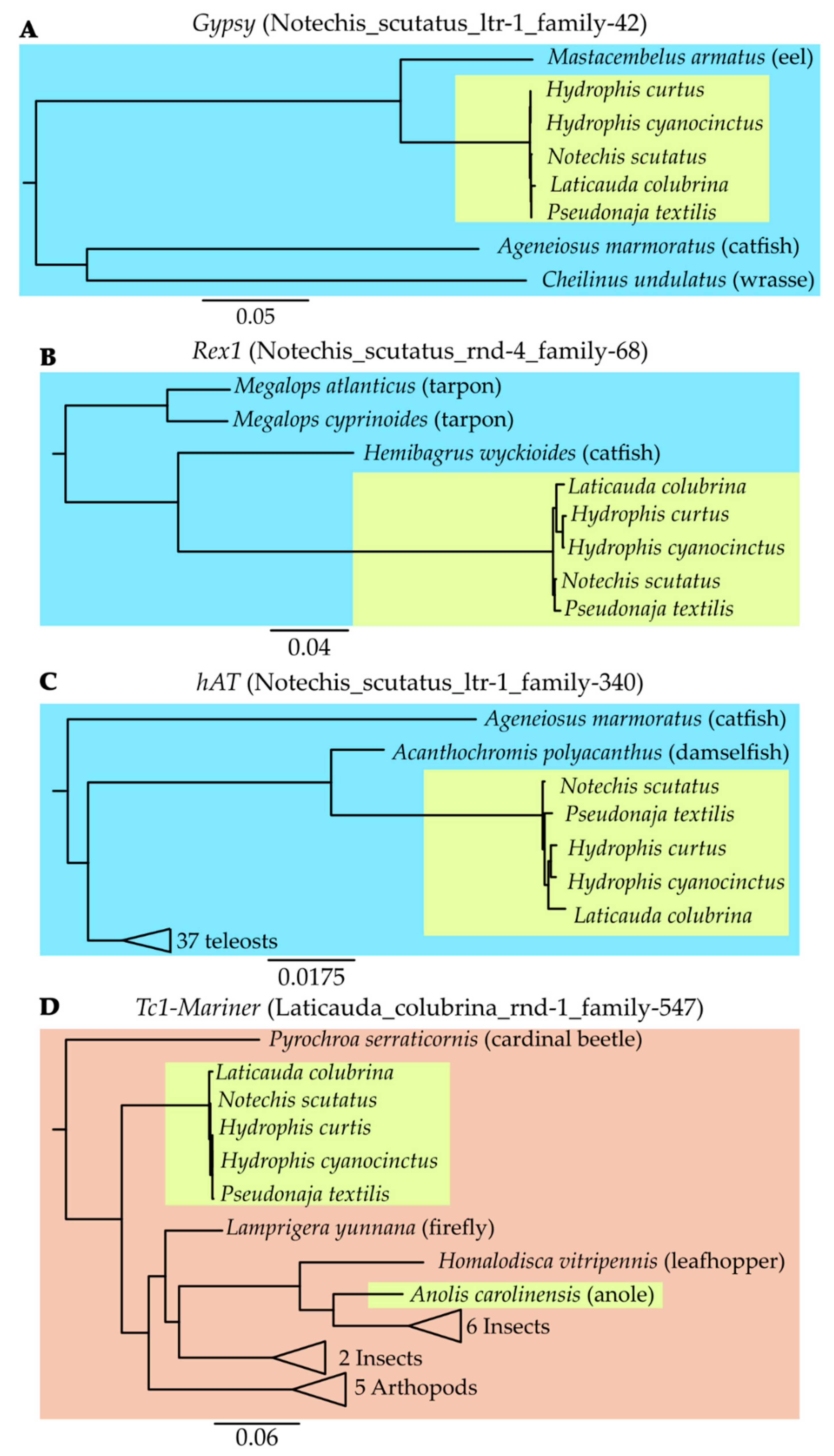 Genes 13 00217 g005