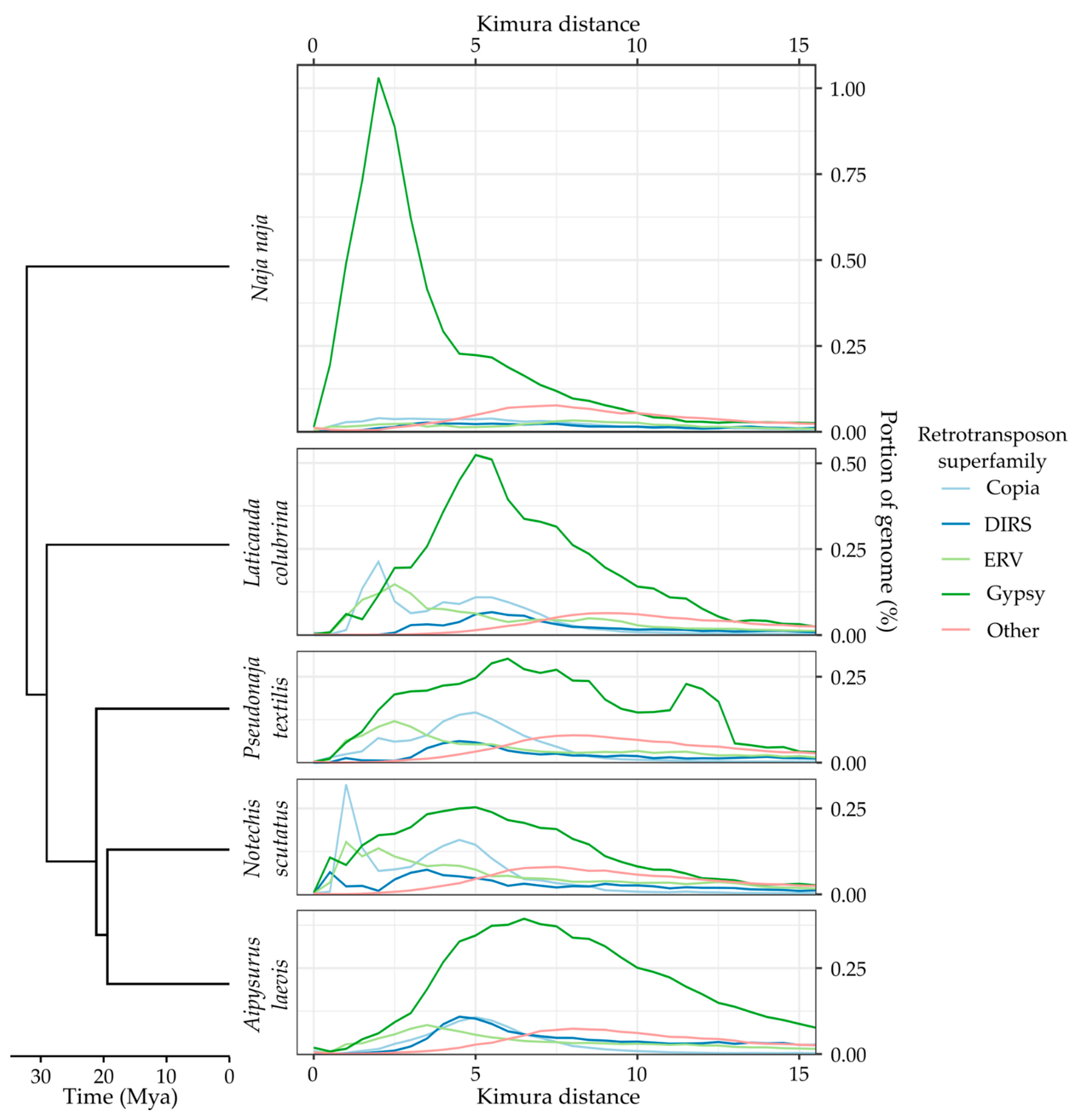 Genes 13 00217 g0a2