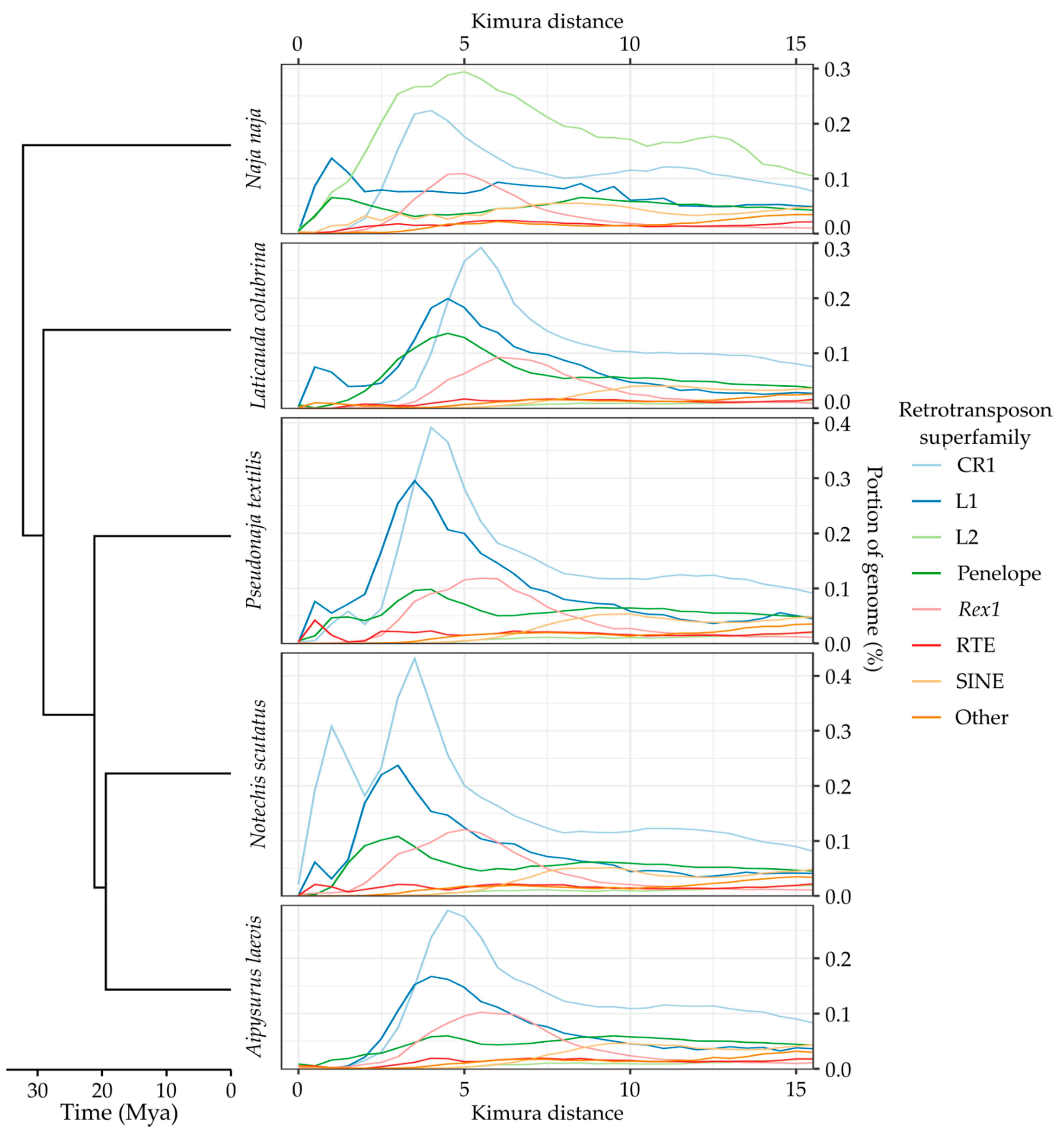 Genes 13 00217 g0a3