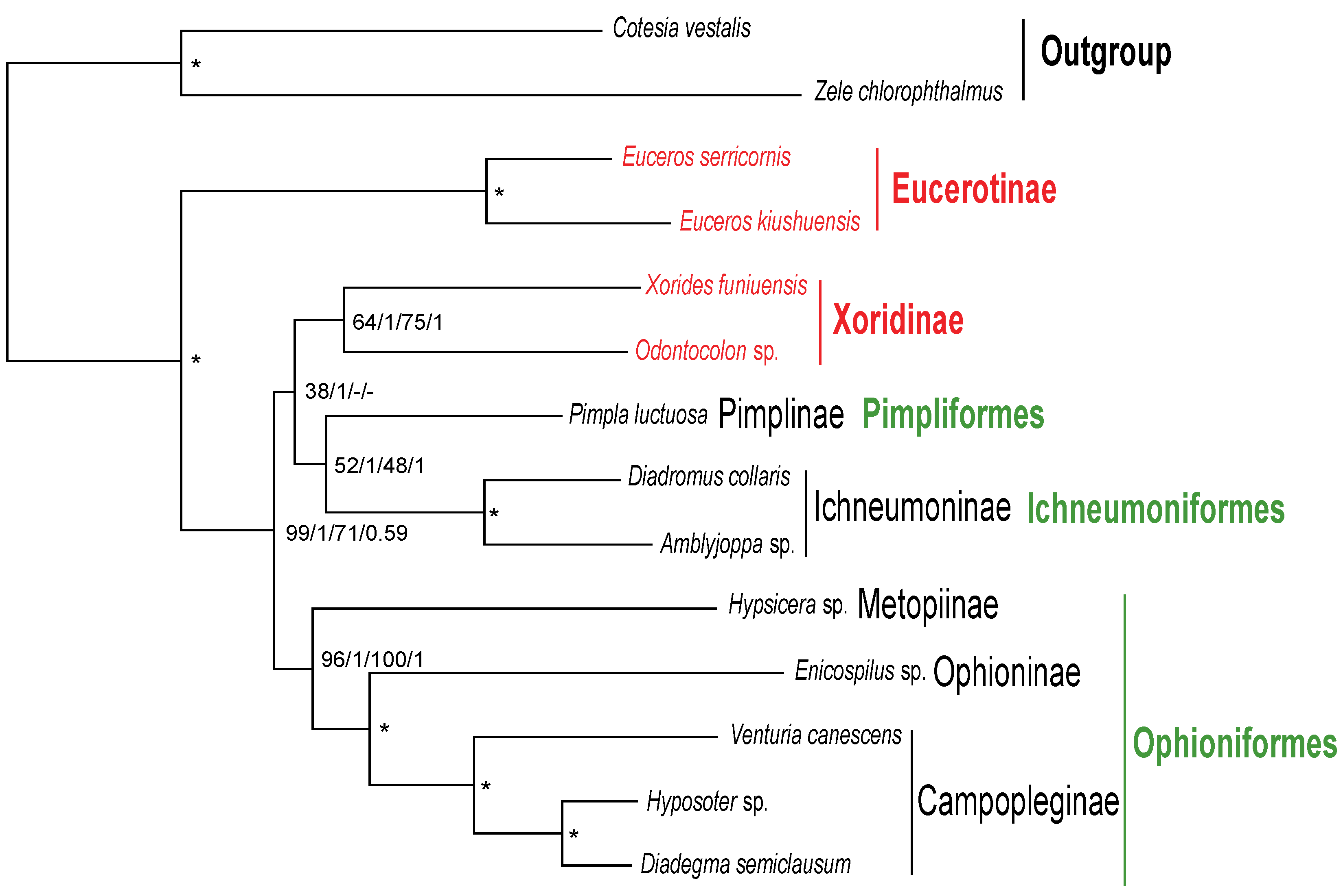 Genes 13 00218 g004 550