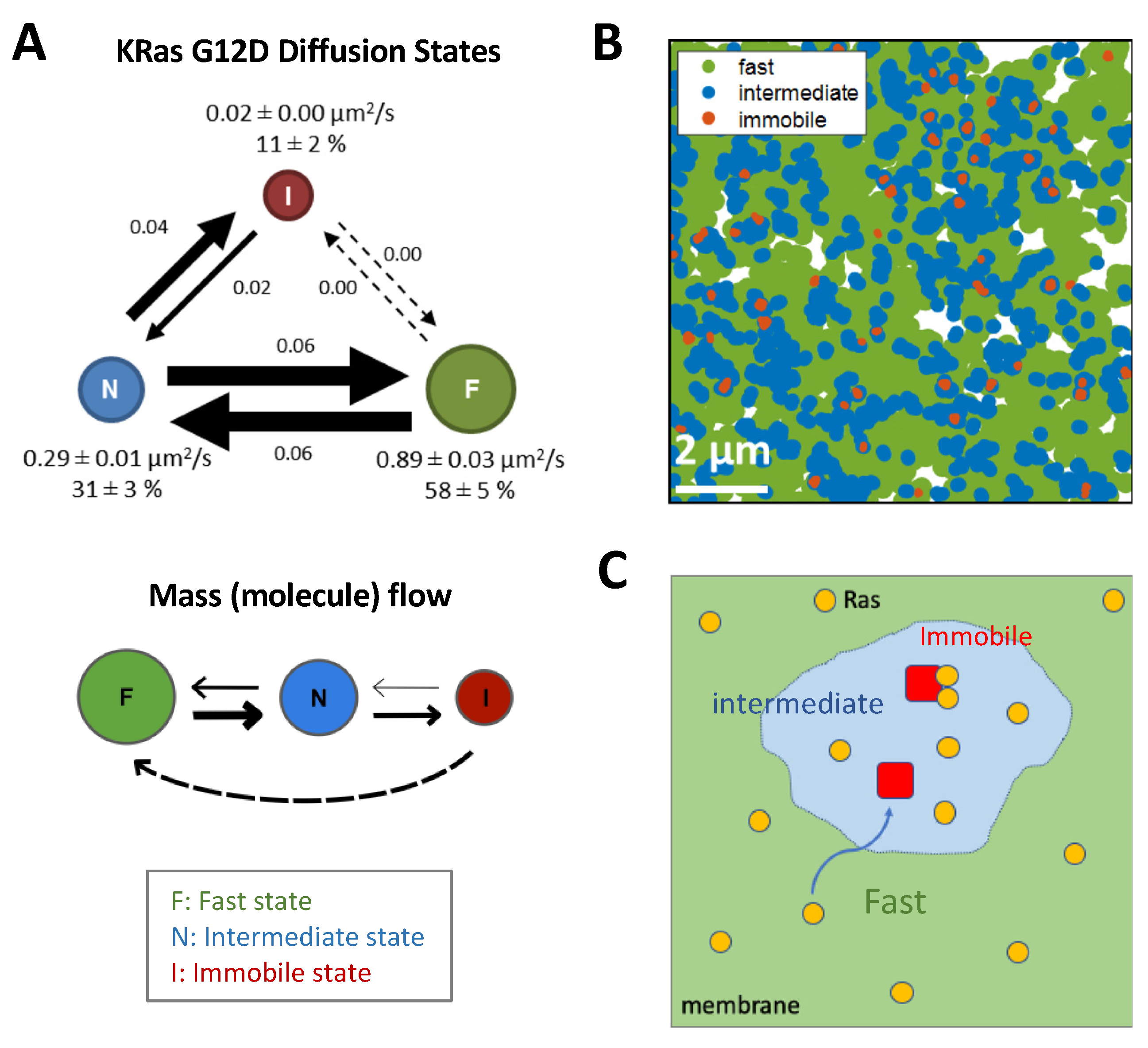 Genes 13 00219 g004 Genes 13 00219 g004
